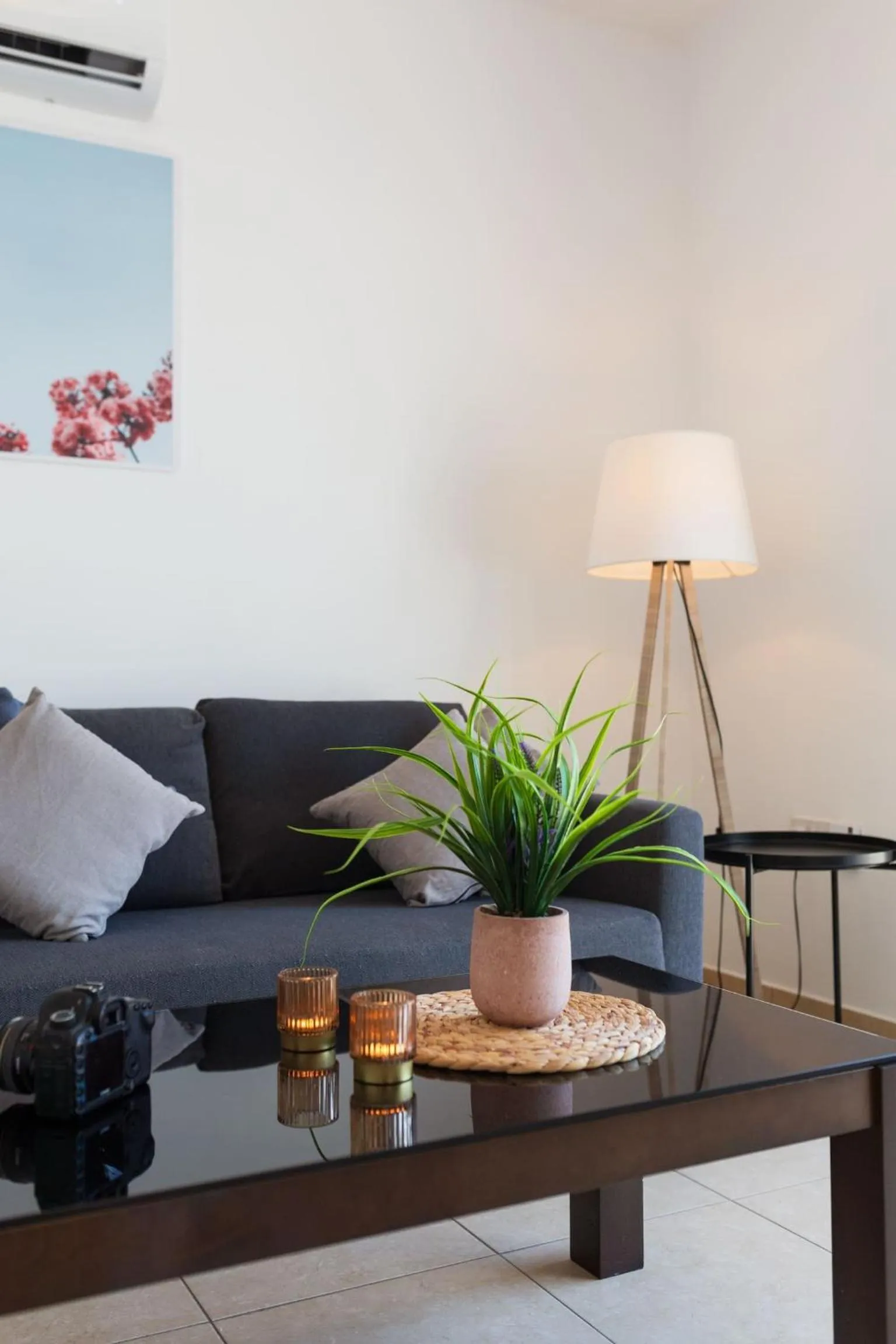 Living room in Artemis Cynthia Complex