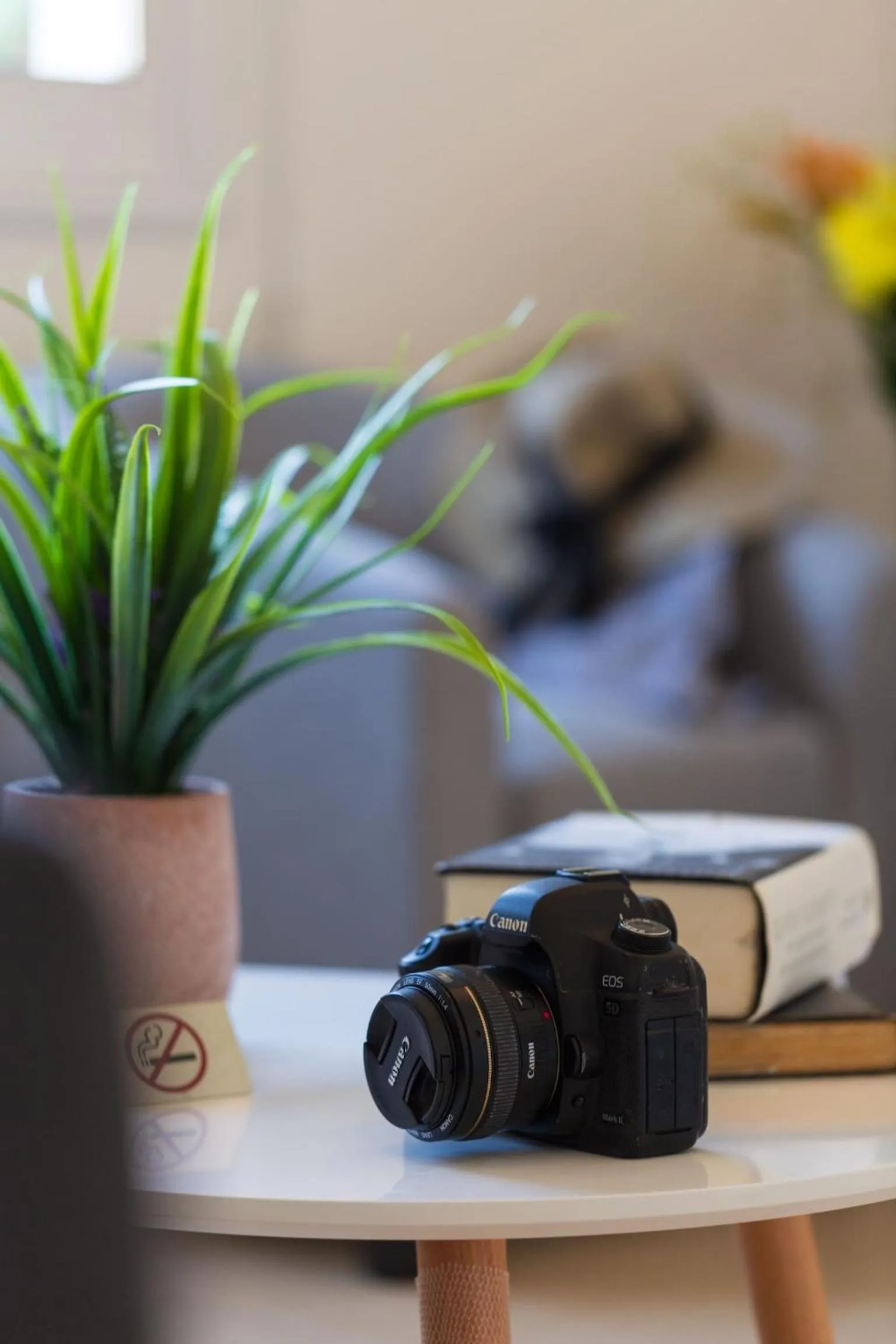 Other in Artemis Cynthia Complex