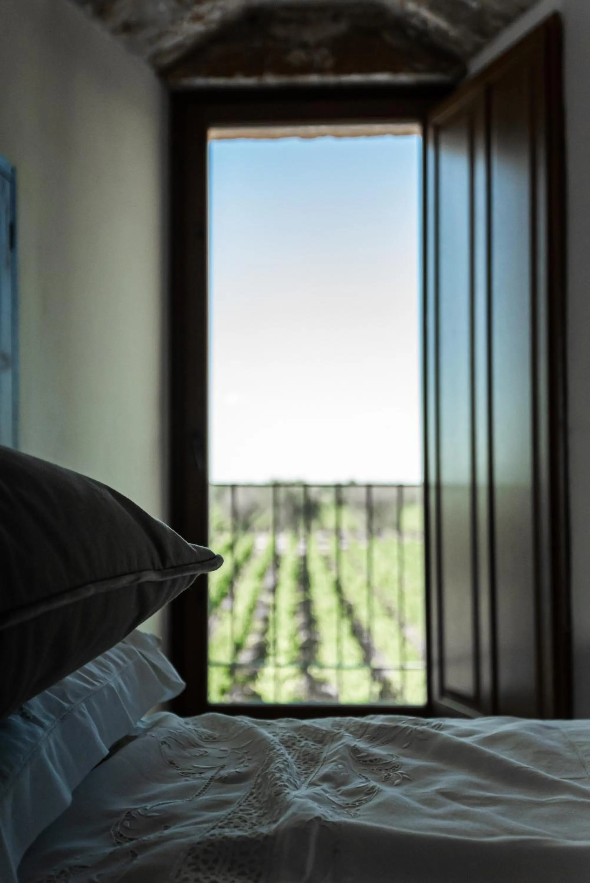 Suite with Terrace in Masseria Torleanzi Wine Relais