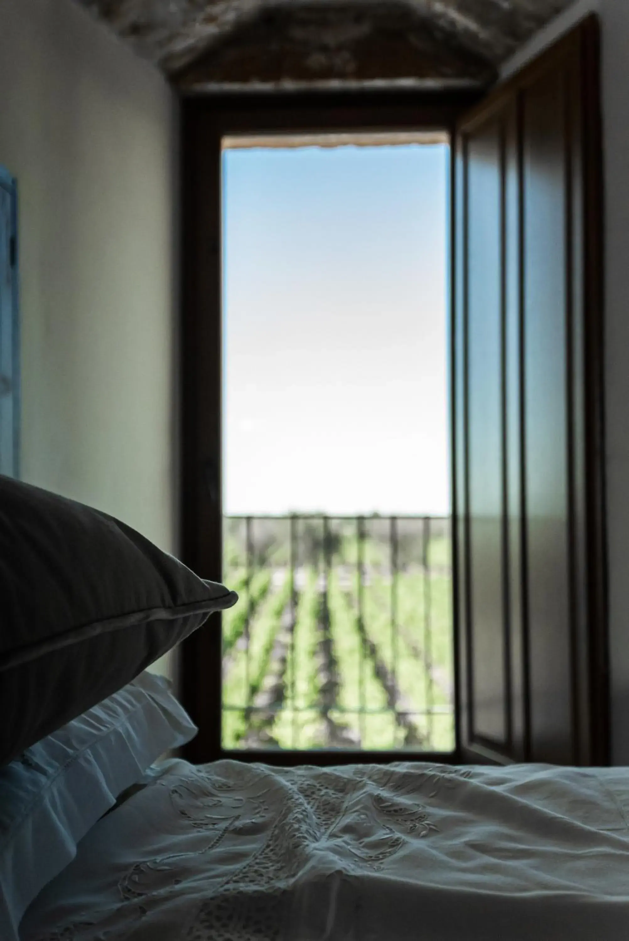 Suite with Terrace in Masseria Torleanzi Wine Relais Suite with Terrace in Masseria Torleanzi Wine Relais