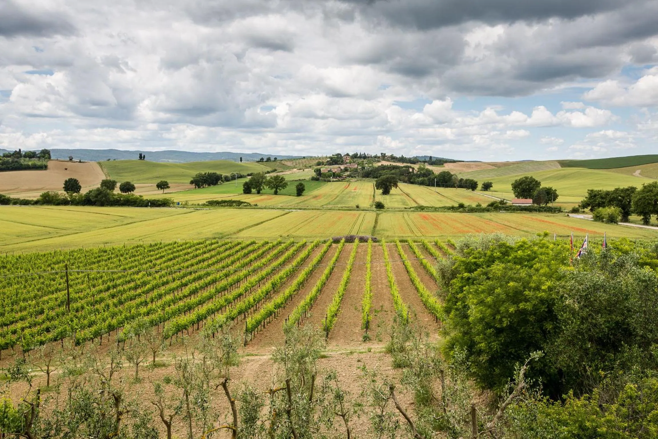 View (from property/room) in Hotel Ristorante Borgo Antico