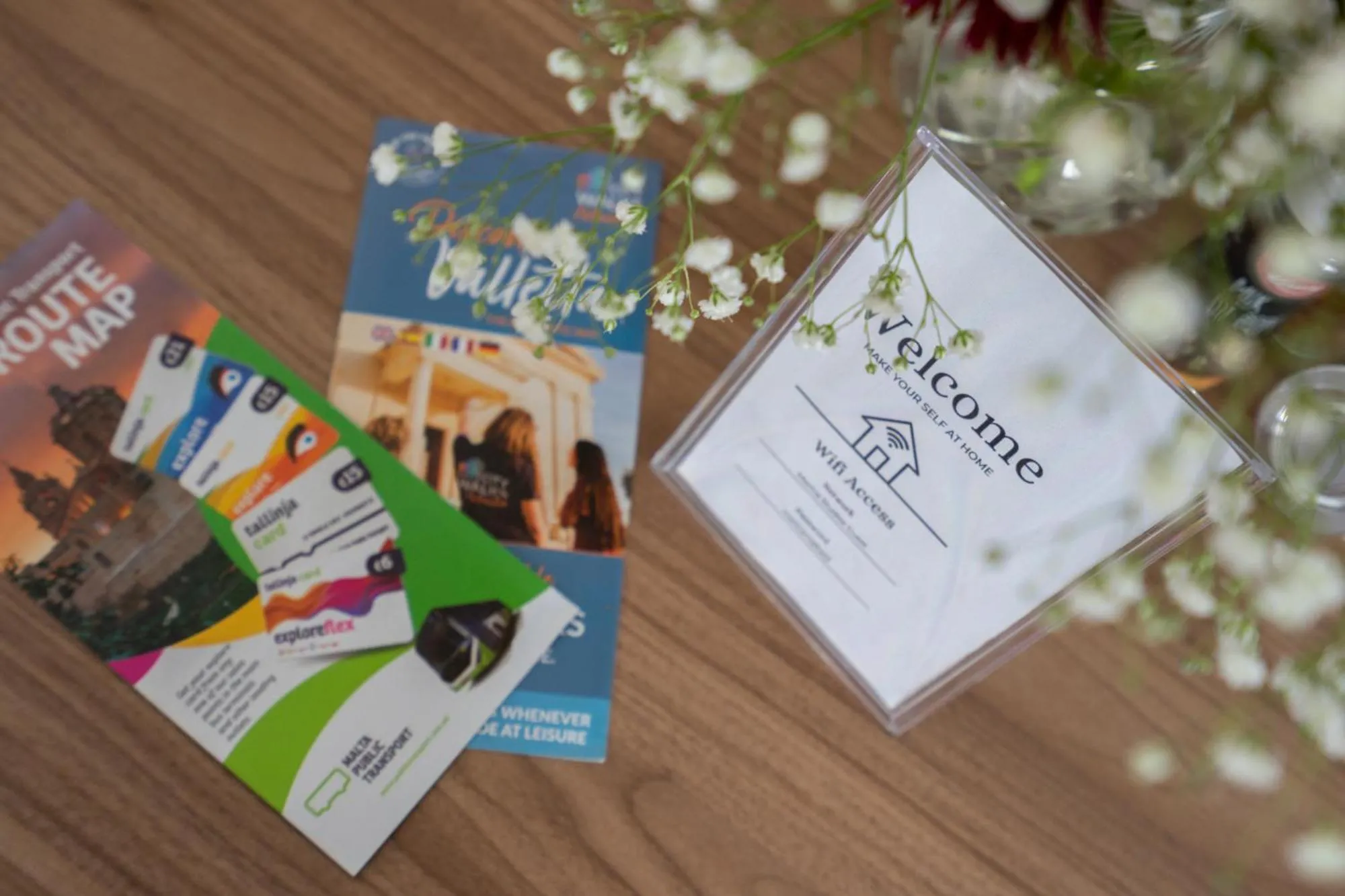 Text overlay in Marina Studios