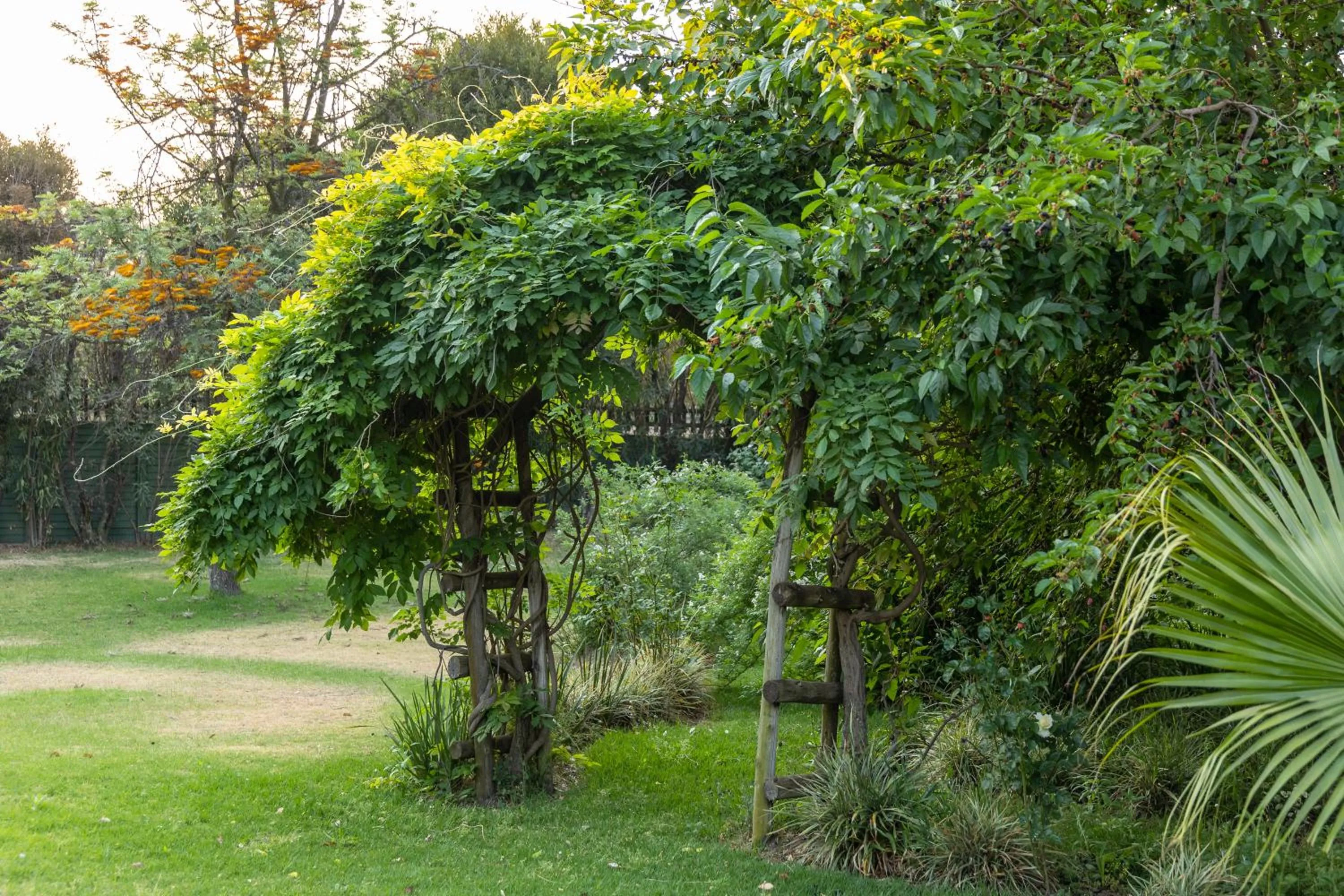 Garden in Hotel Nomad Belvedere Lodge