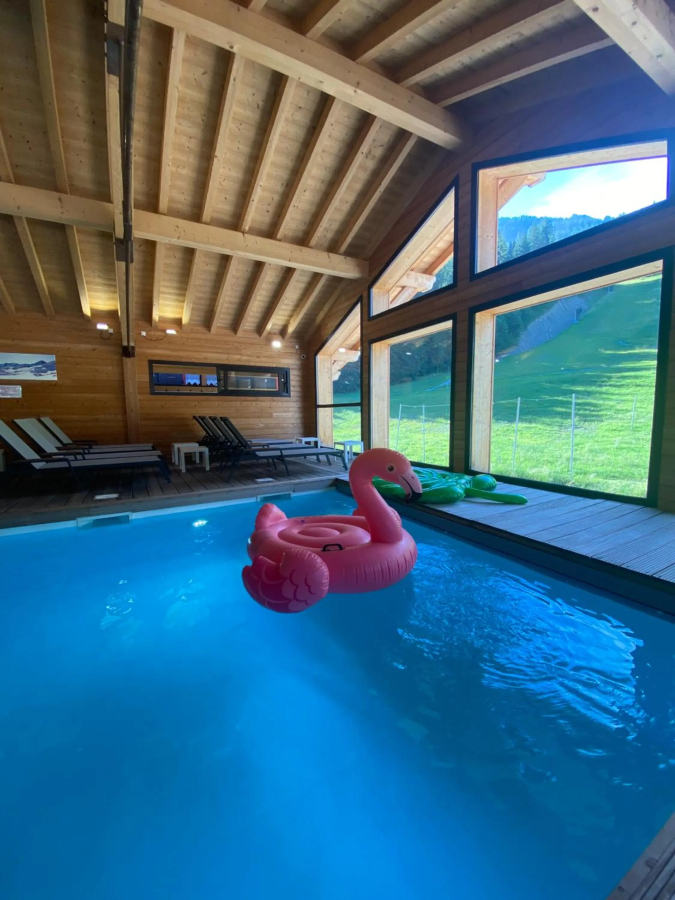 Swimming pool in Le Schuss