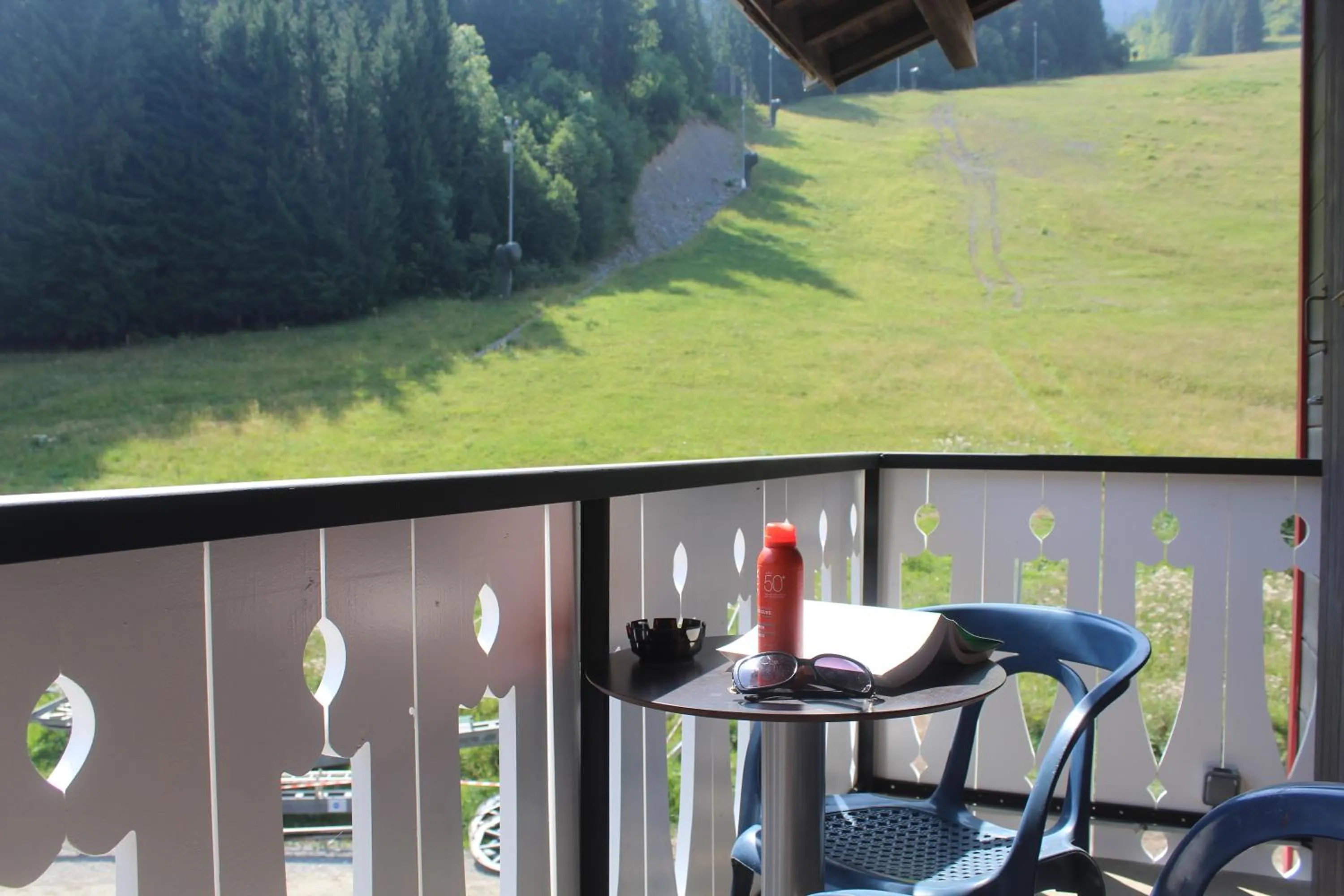 View (from property/room) in Le Schuss