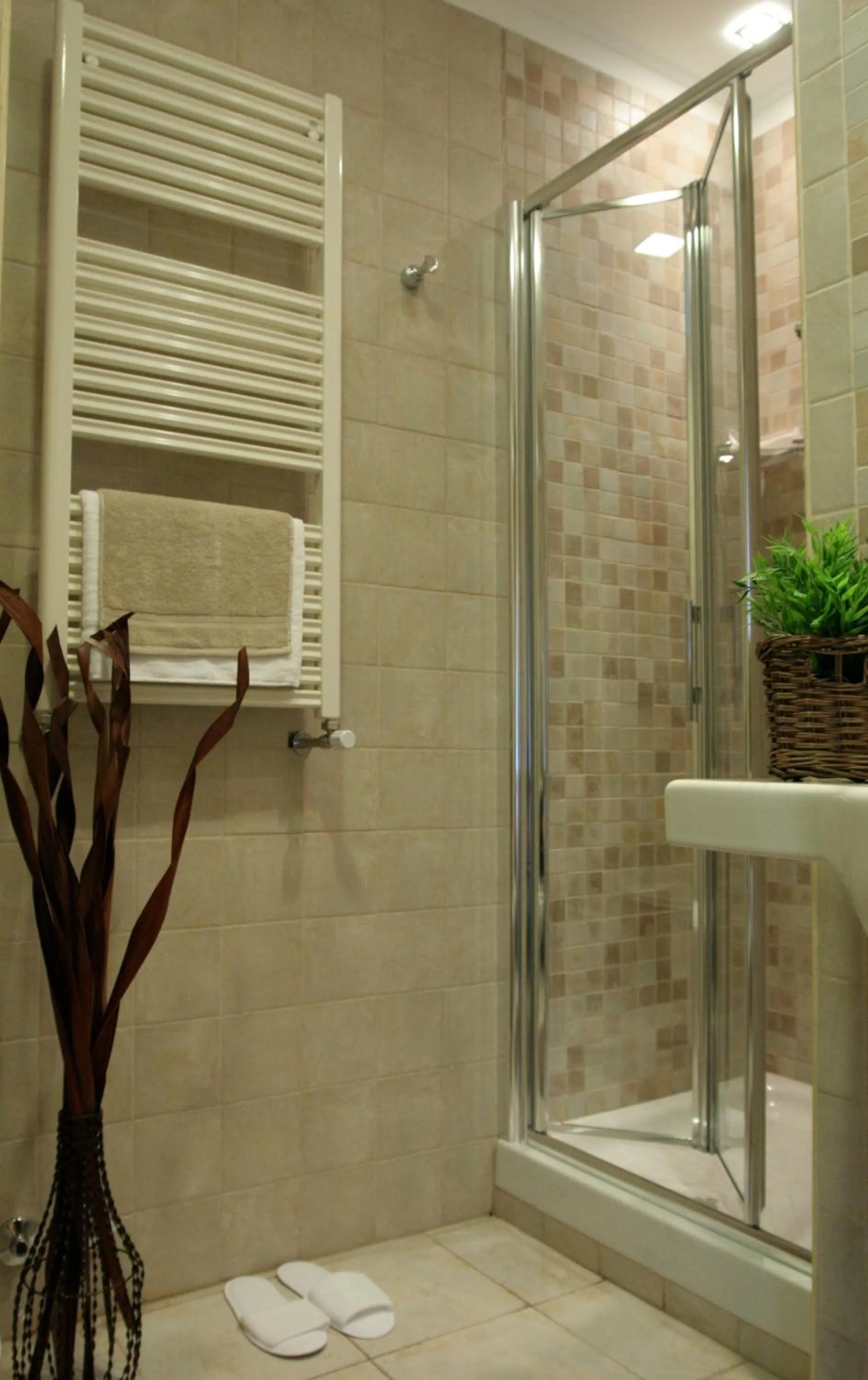 Shower in Hotel Latinum