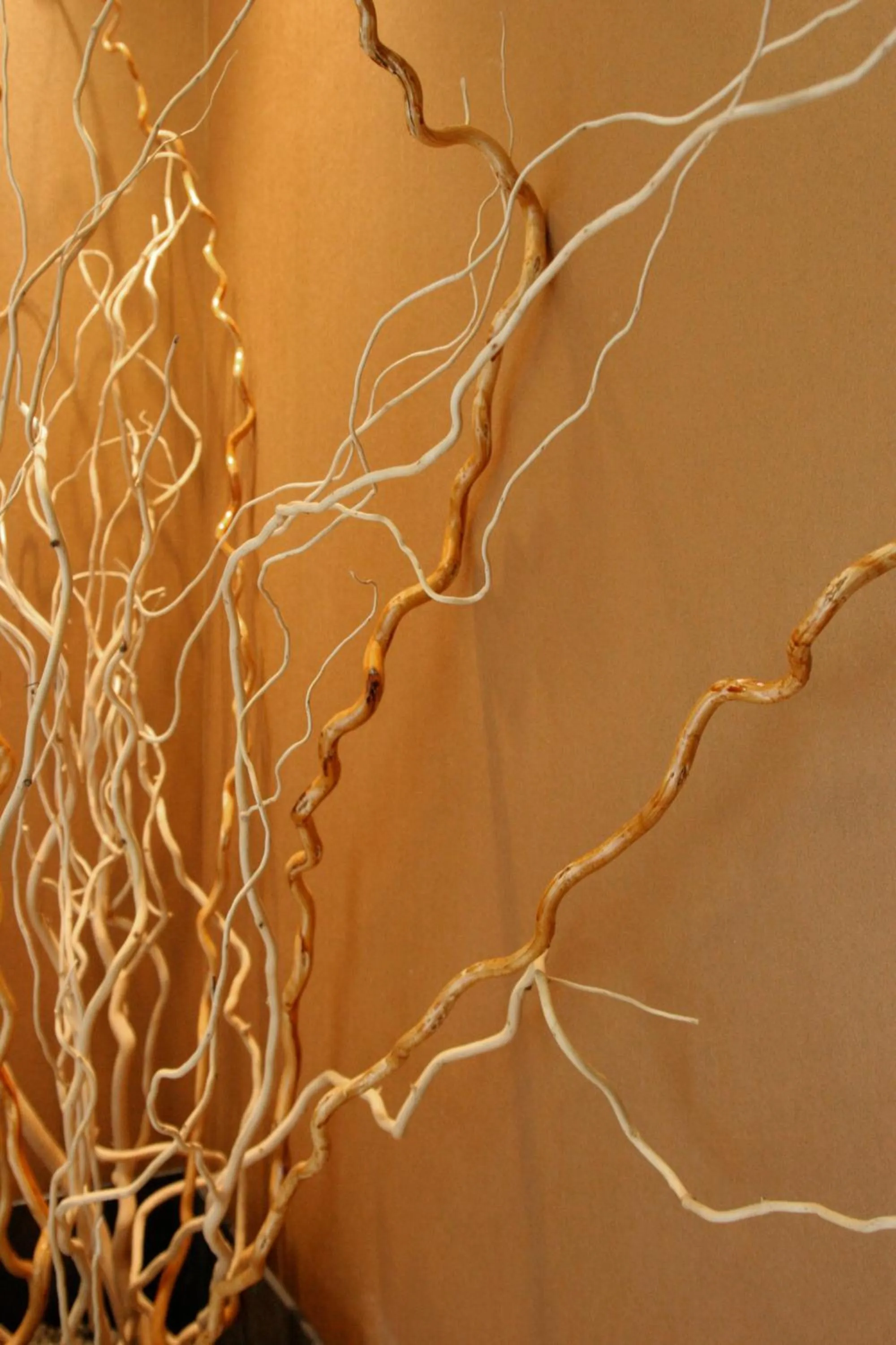 Decorative detail in Hotel Latinum