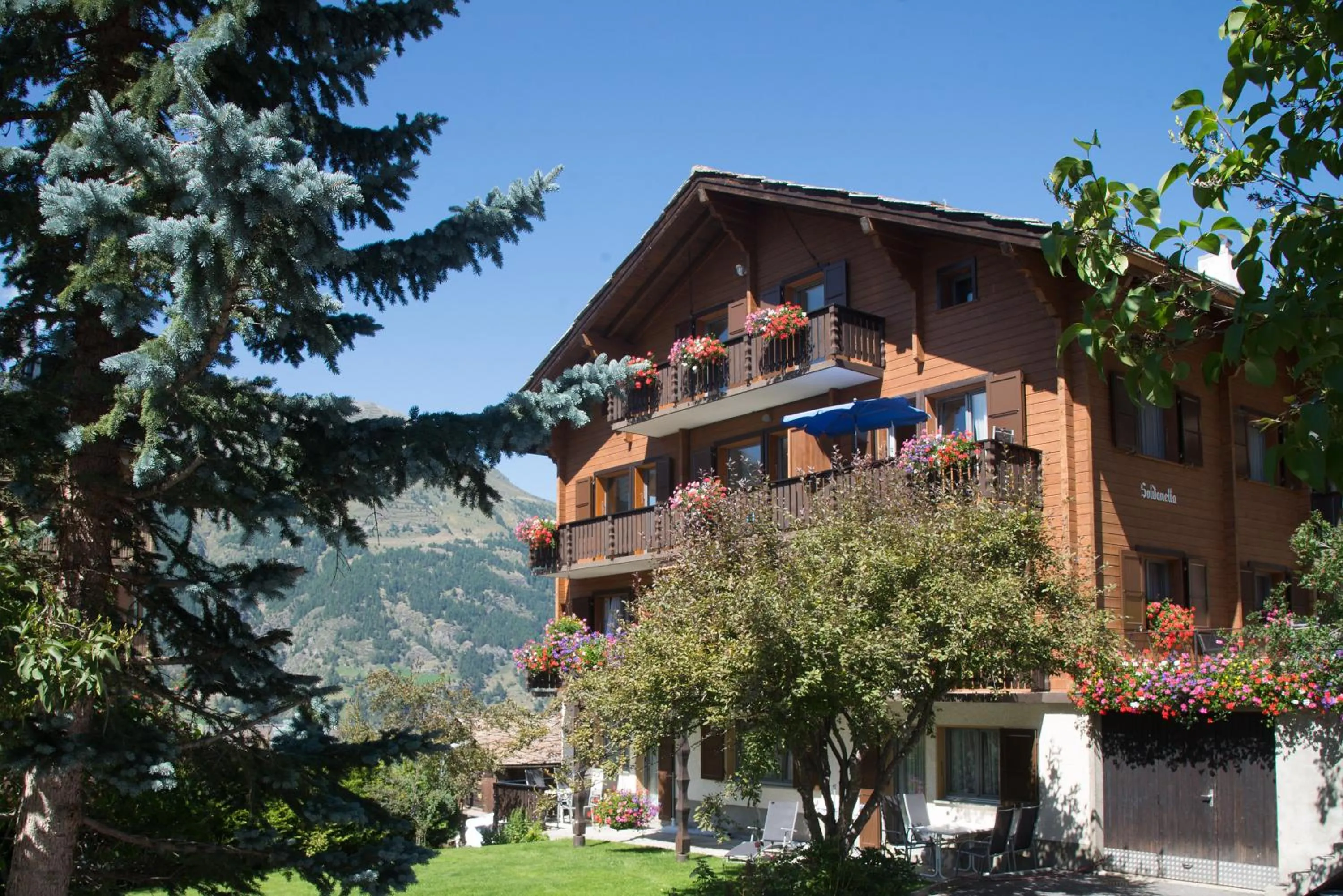 Chalet Soldanella
