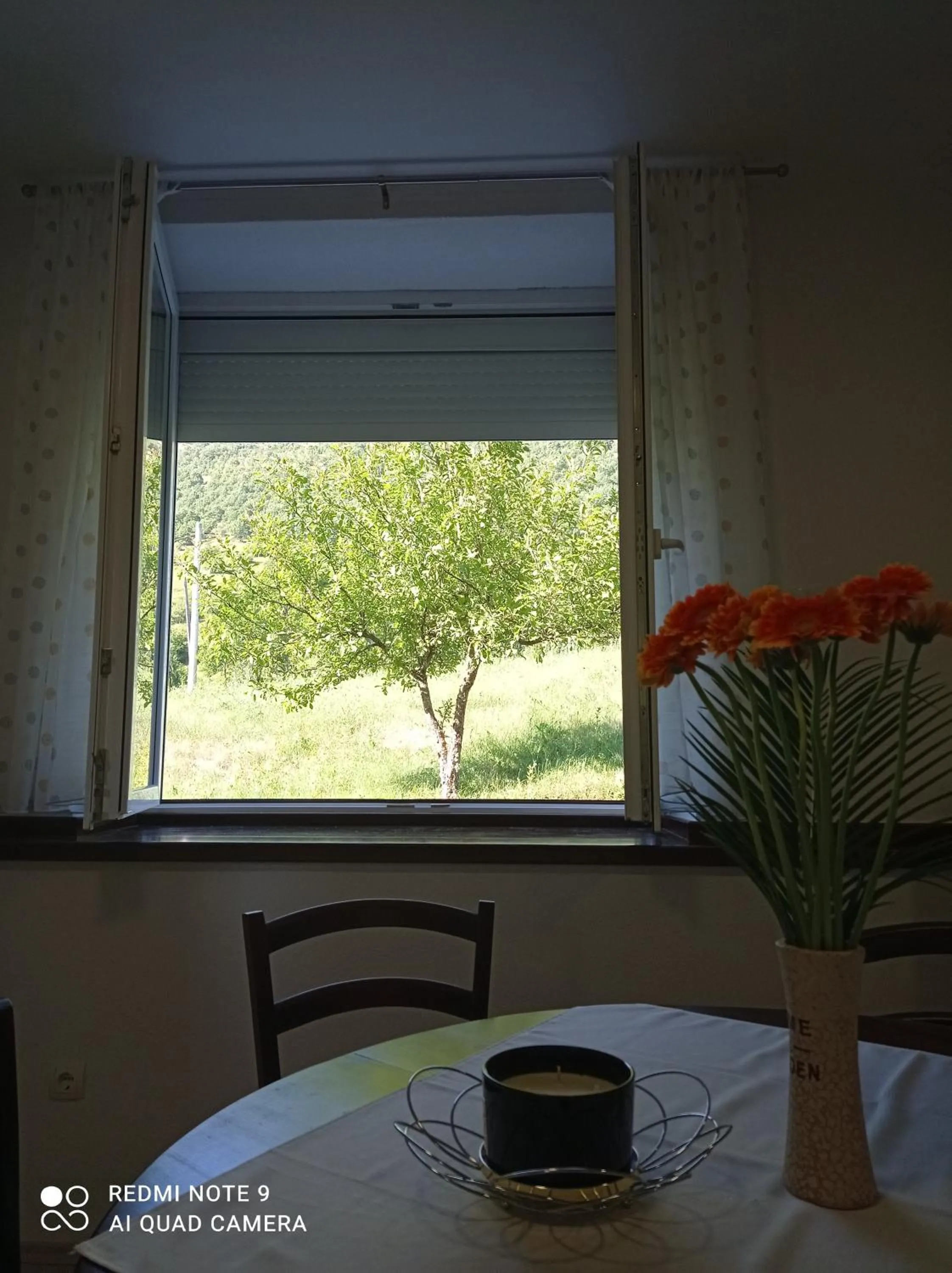 View (from property/room) in Studio apartman Sonja