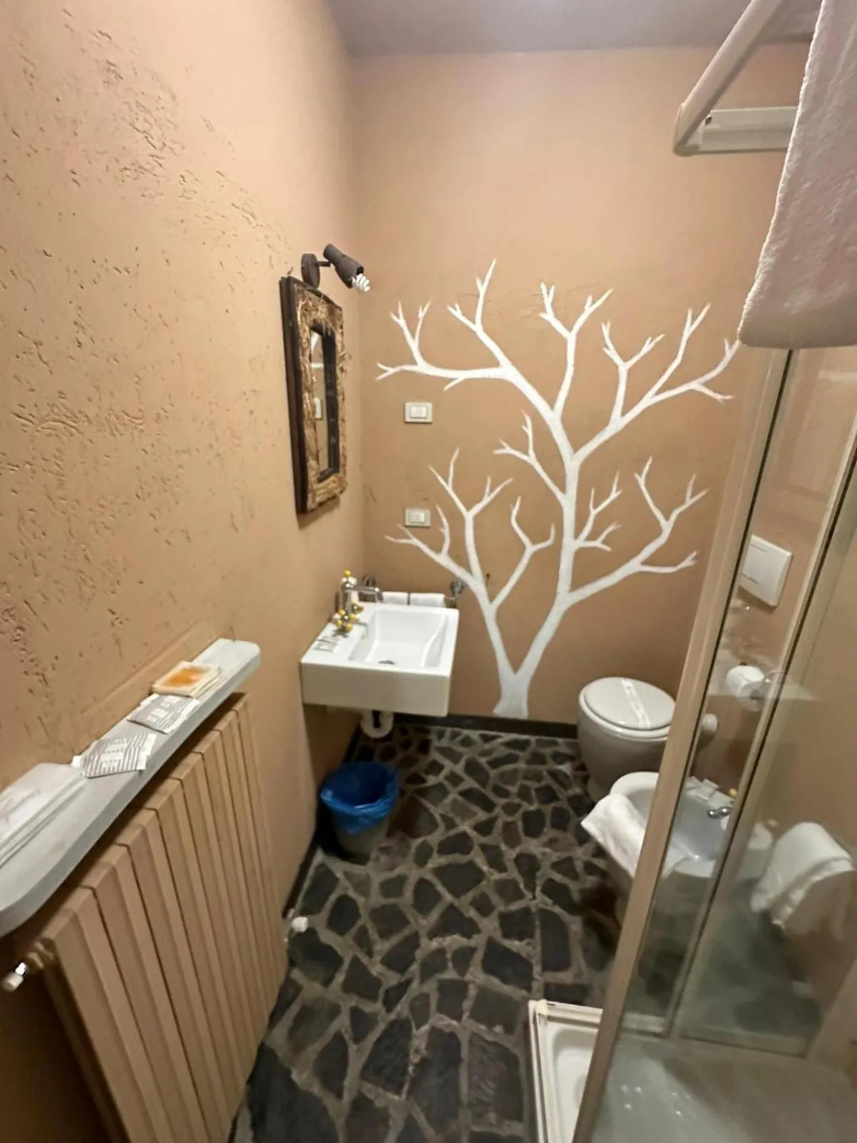 Shower in Piccolo Hotel Olina