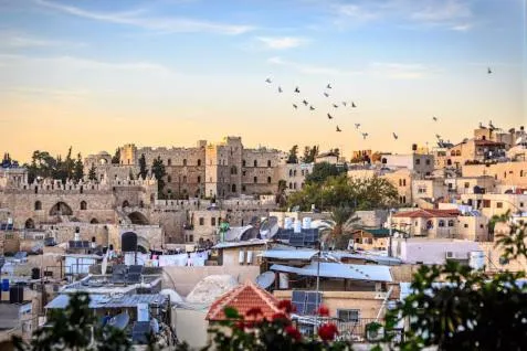 Garden view in Hashimi Hotel Old City Jerusalem