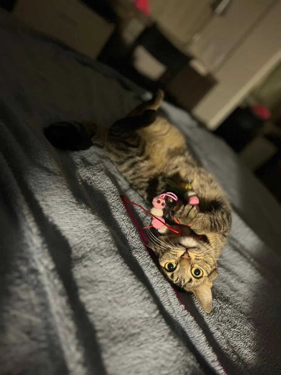 Bedroom in Hotel Valerim Itajaí / Navegantes