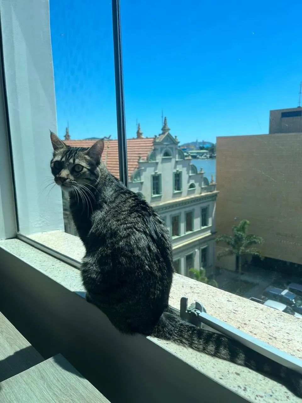 View (from property/room) in Hotel Valerim Itajaí / Navegantes