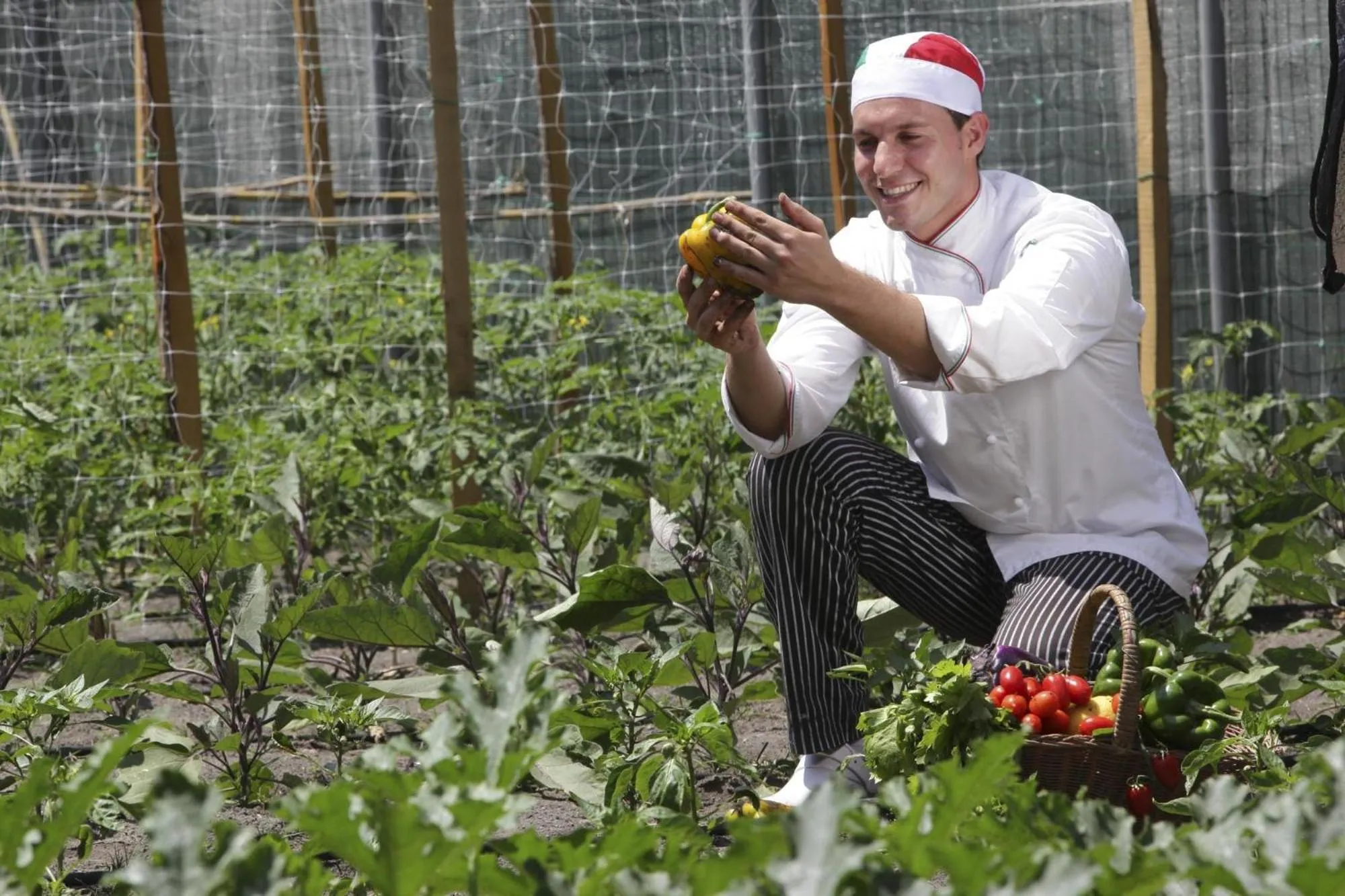 Garden in Hotel Orsa Maggiore