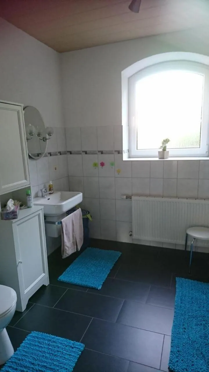 Bathroom in Hansis Lodge