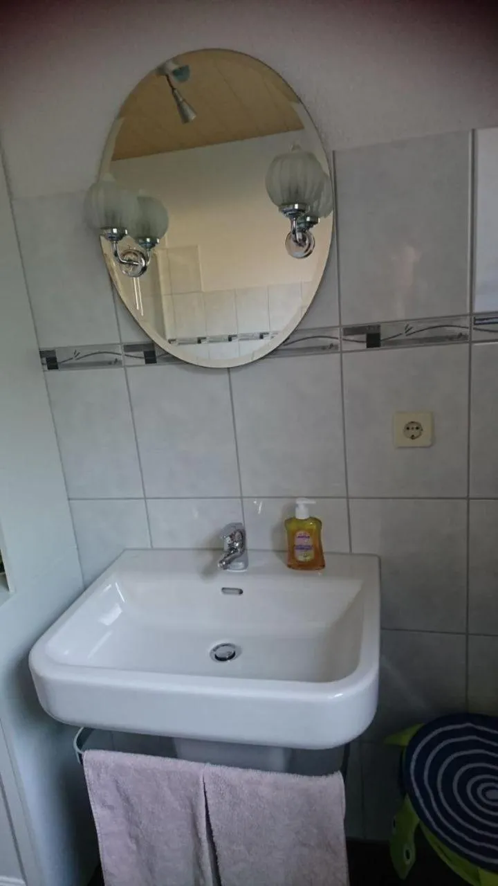 Bathroom in Hansis Lodge