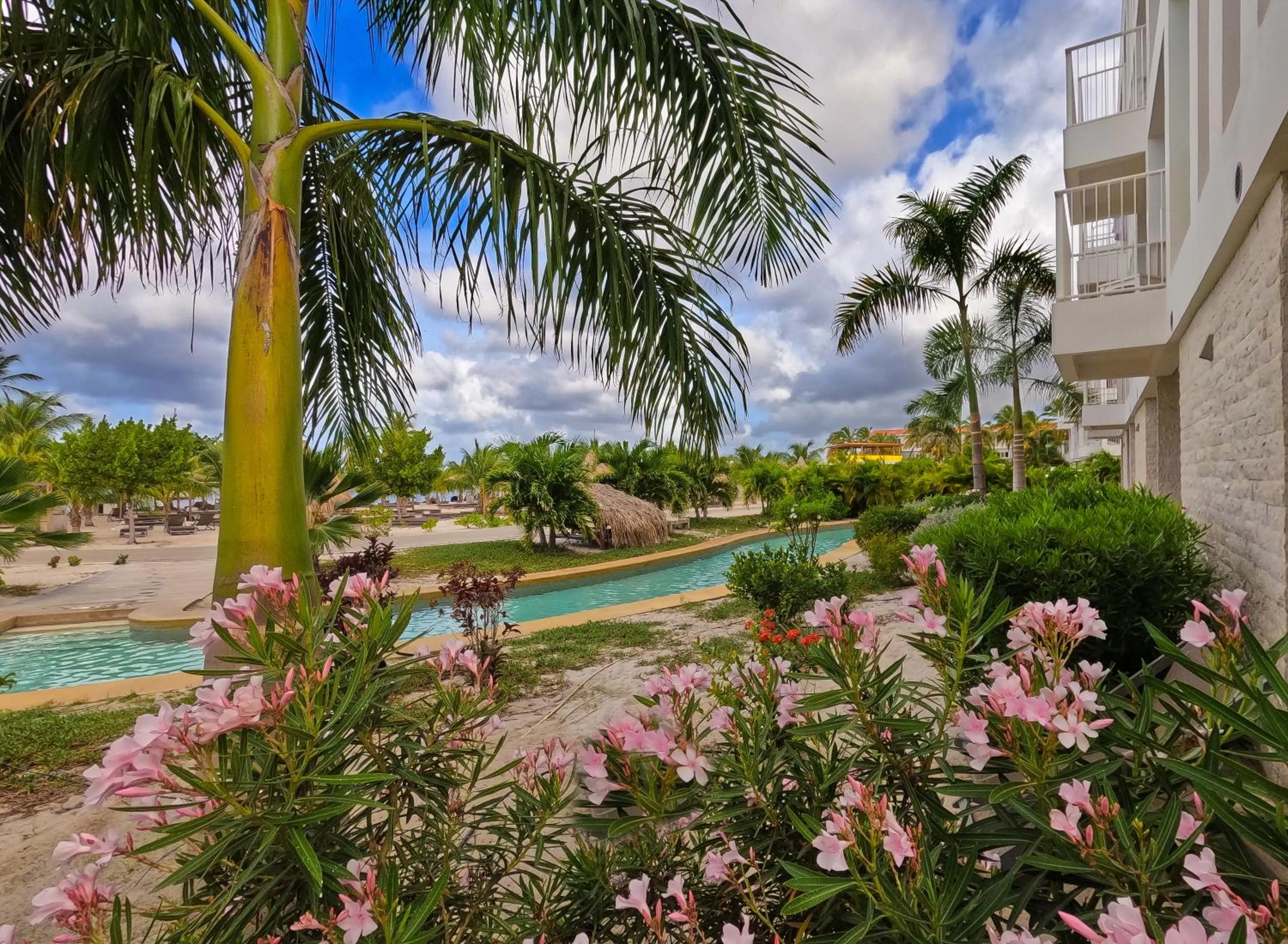 Pool view in Chogogo Dive & Beach Resort Bonaire