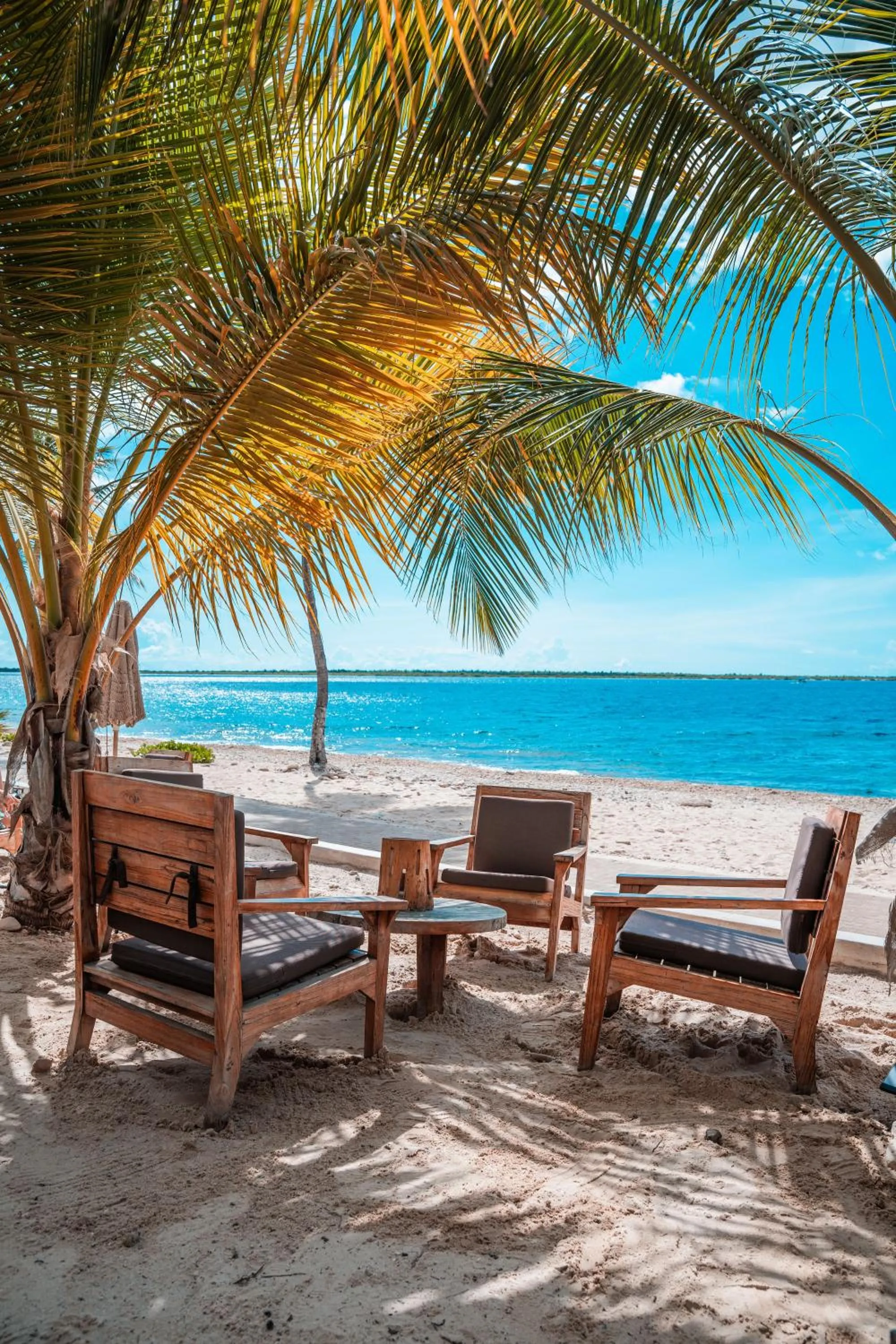 Day in Chogogo Dive & Beach Resort Bonaire