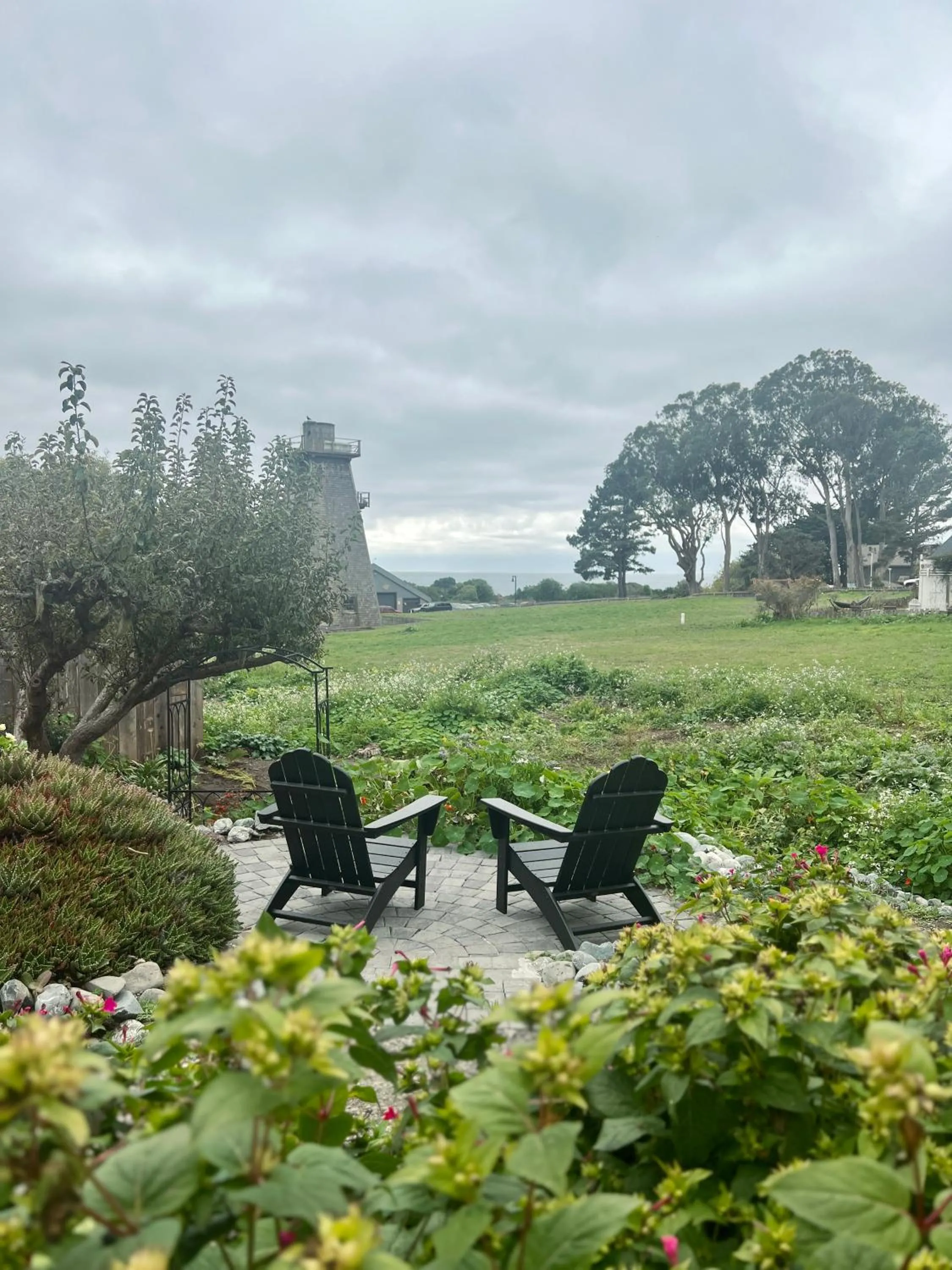 Natural landscape in Nicholson House at Beaujolais