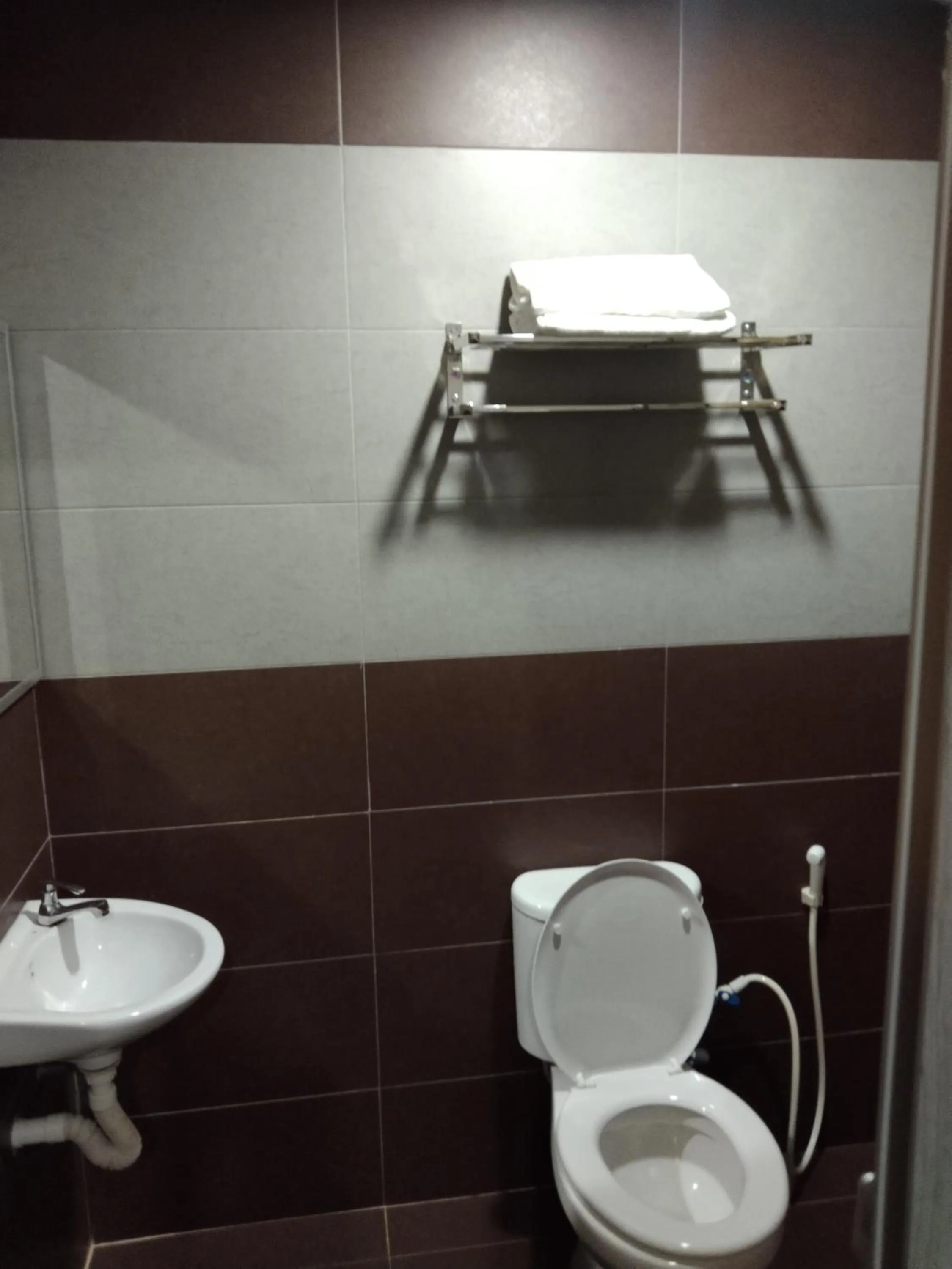 Toilet in One World Hotel
