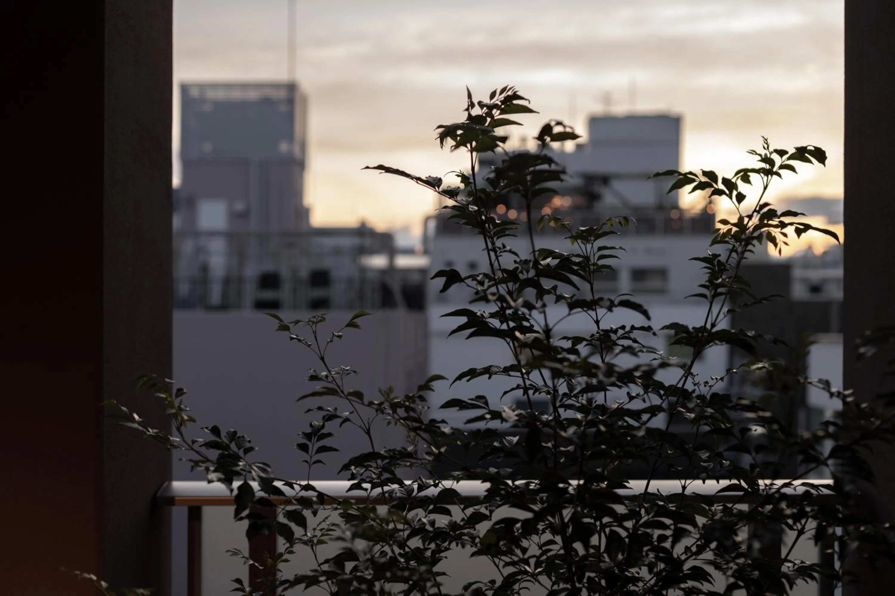 Photo of the whole room in Y-HOTEL