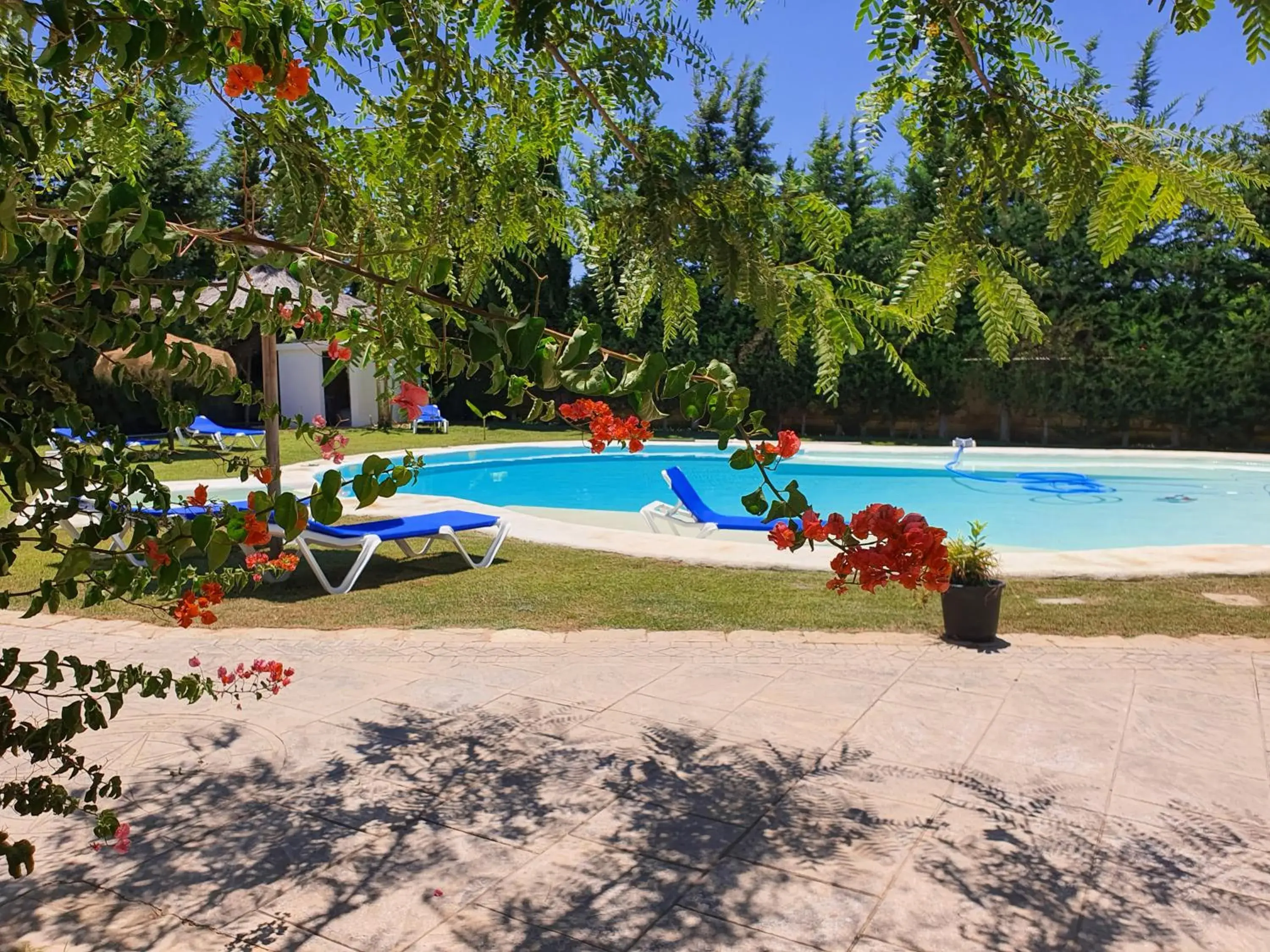 Chalet Brisas del Mar Chalet Brisas del Mar