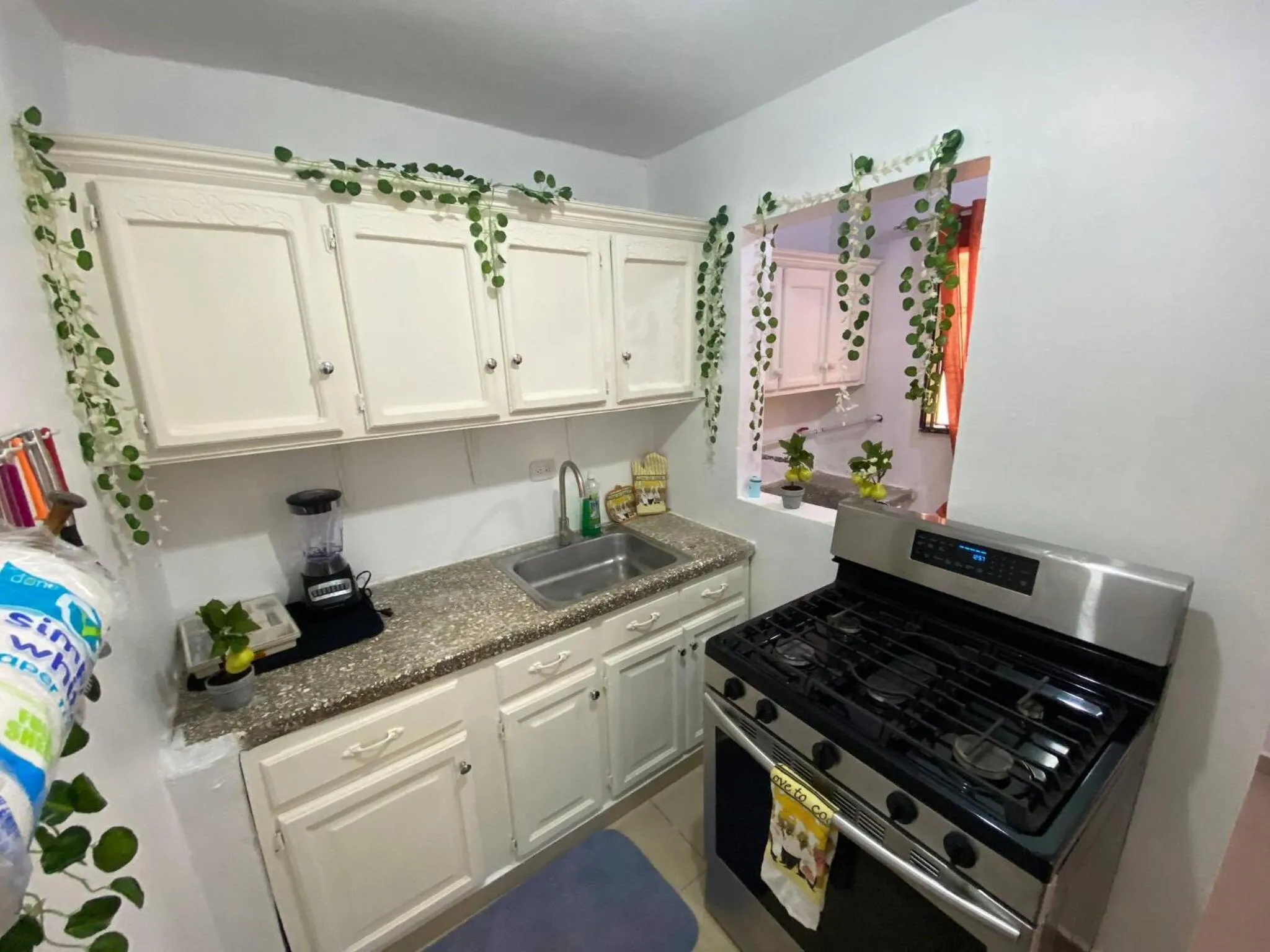 kitchen in Dr Adorable Y Comfortable Apt para Su Disfrute