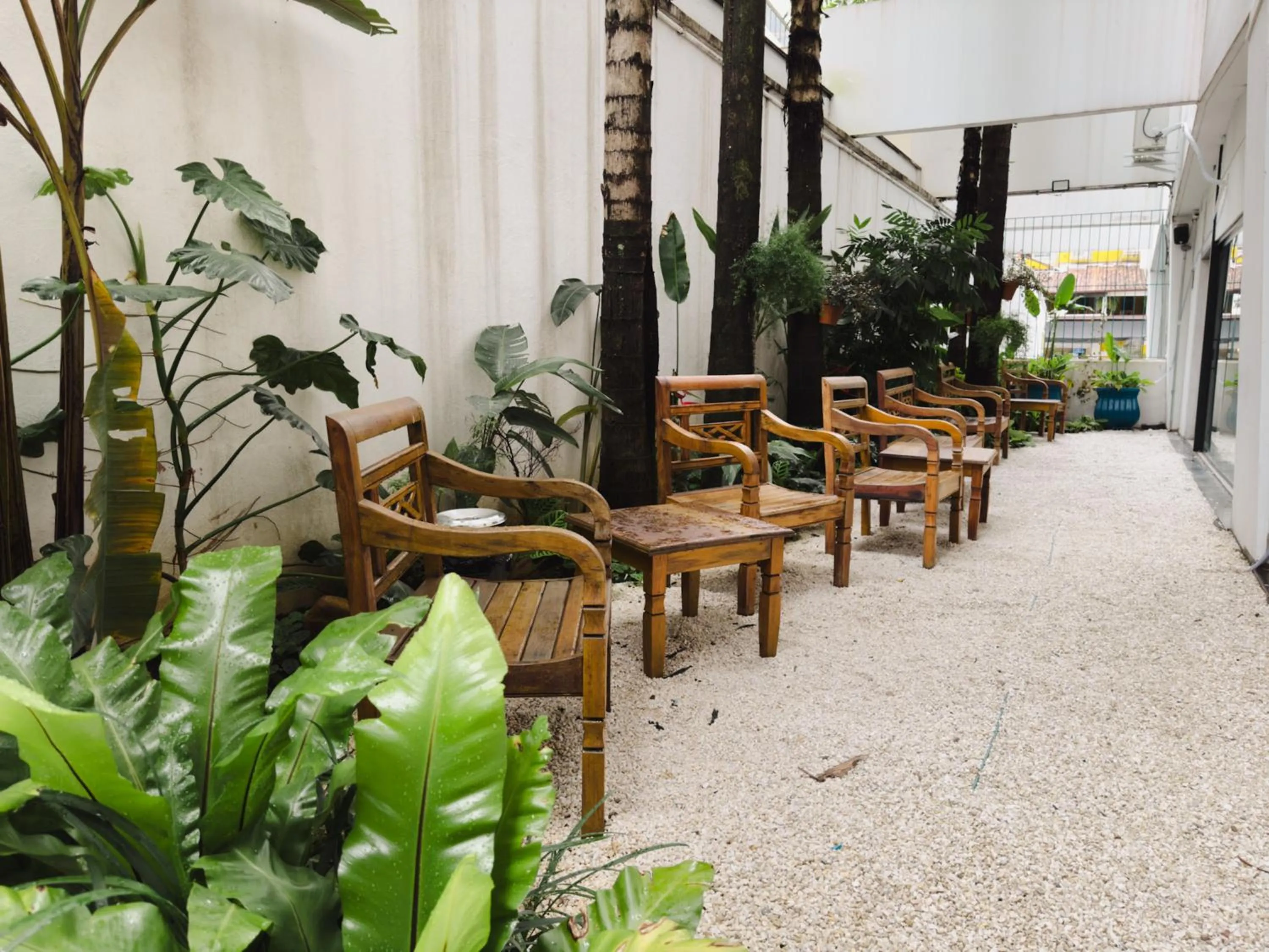 Garden in Apê Paulista Bela Cintra