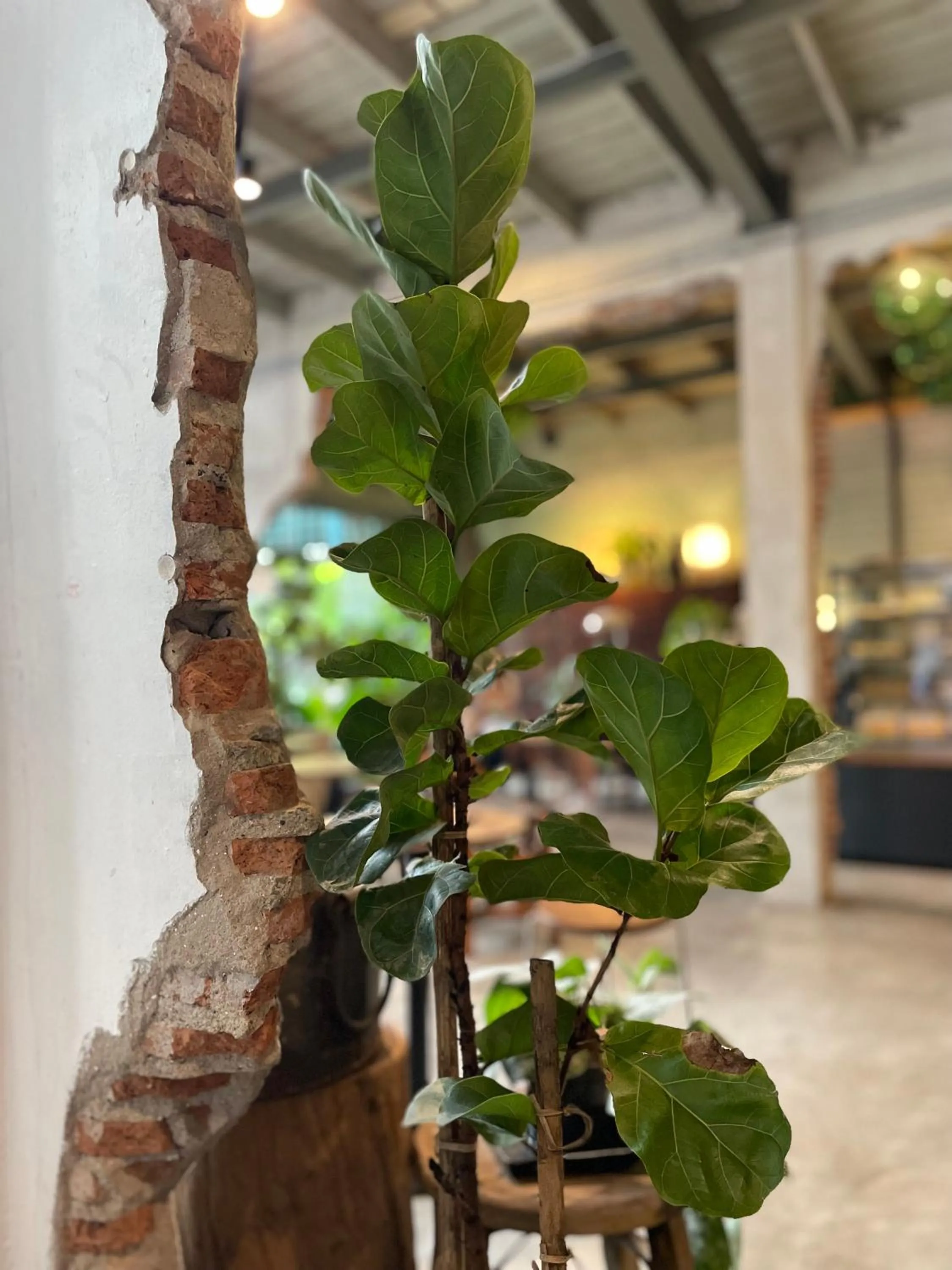 Property building in GalileOasis Boutique Hotel