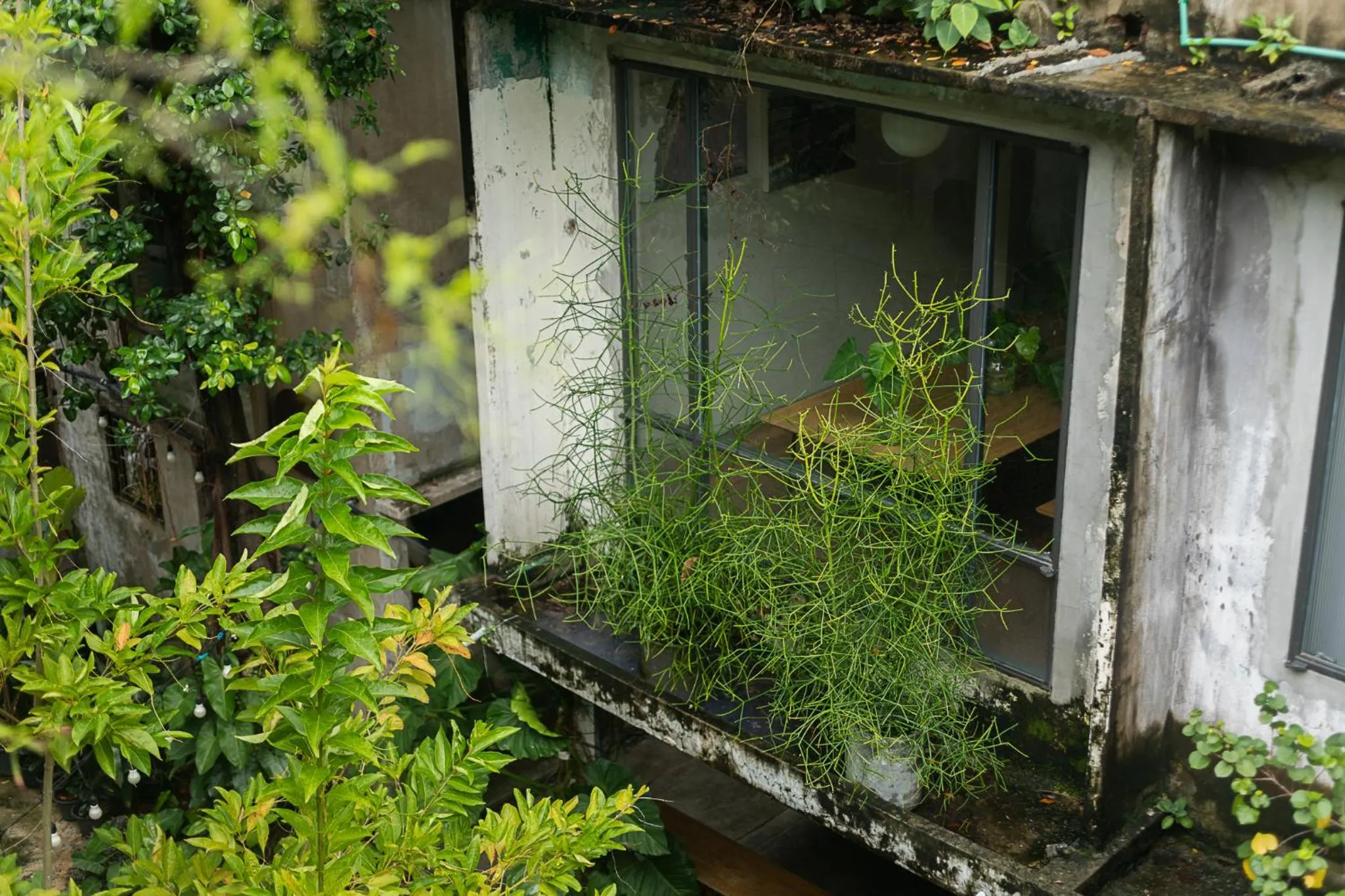 Property building in GalileOasis Boutique Hotel