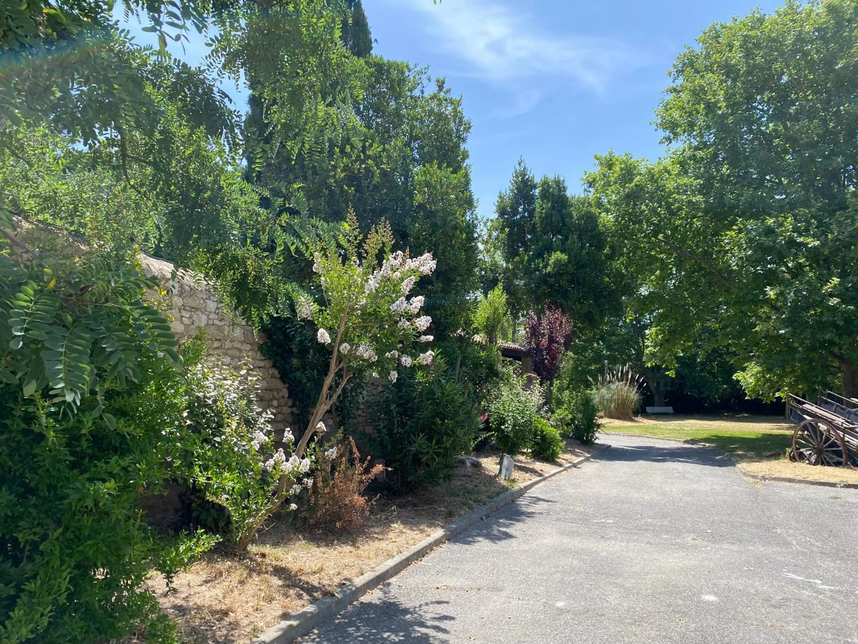 Garden in Domaine de la Reynaude