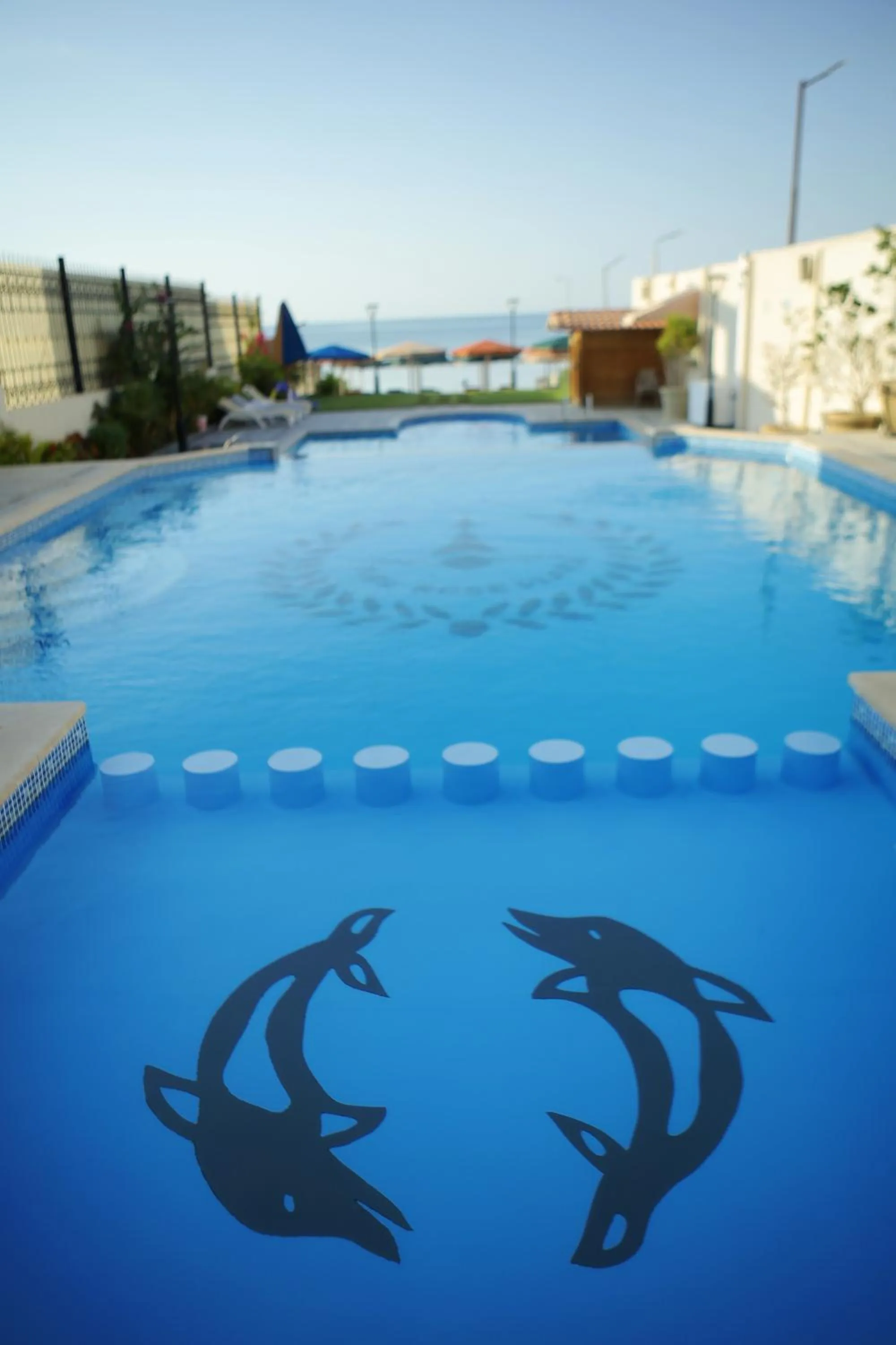 Swimming pool in Tiba Rose hurghada