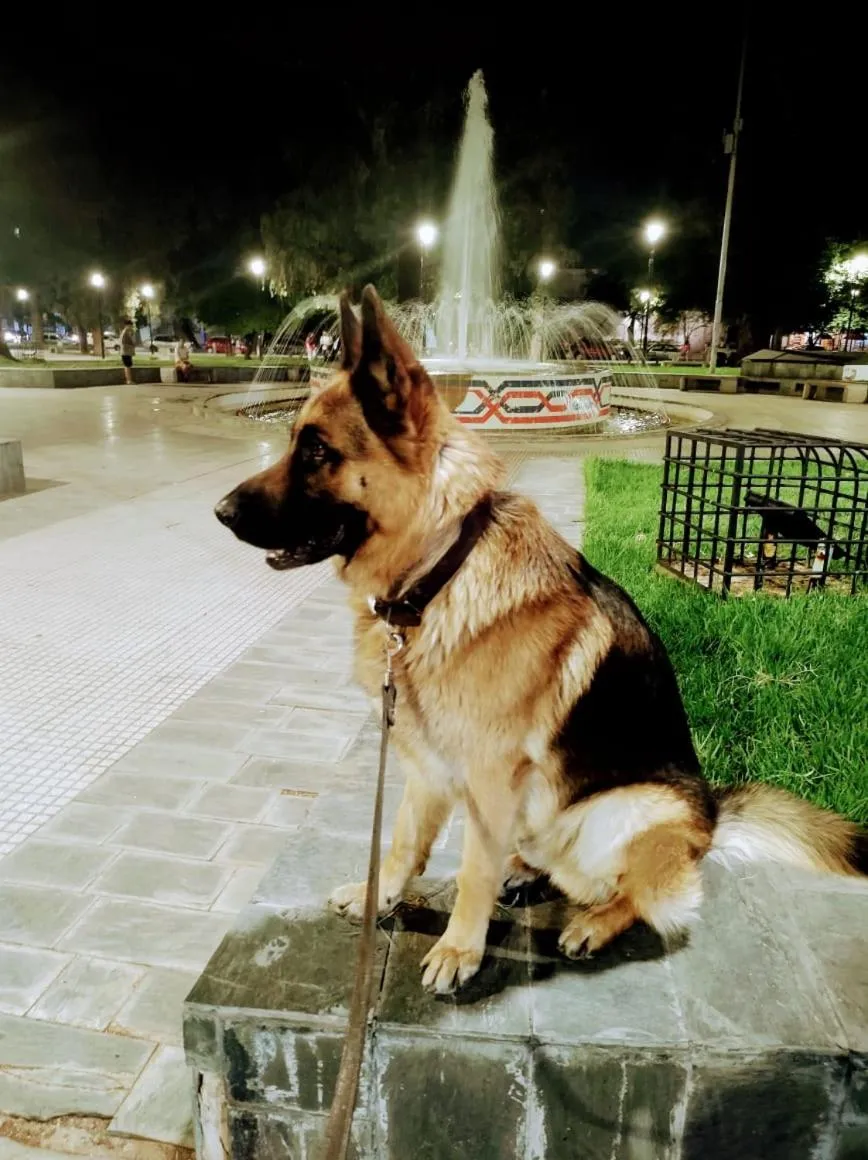 Nearby landmark in Hotel Windsor Mendoza