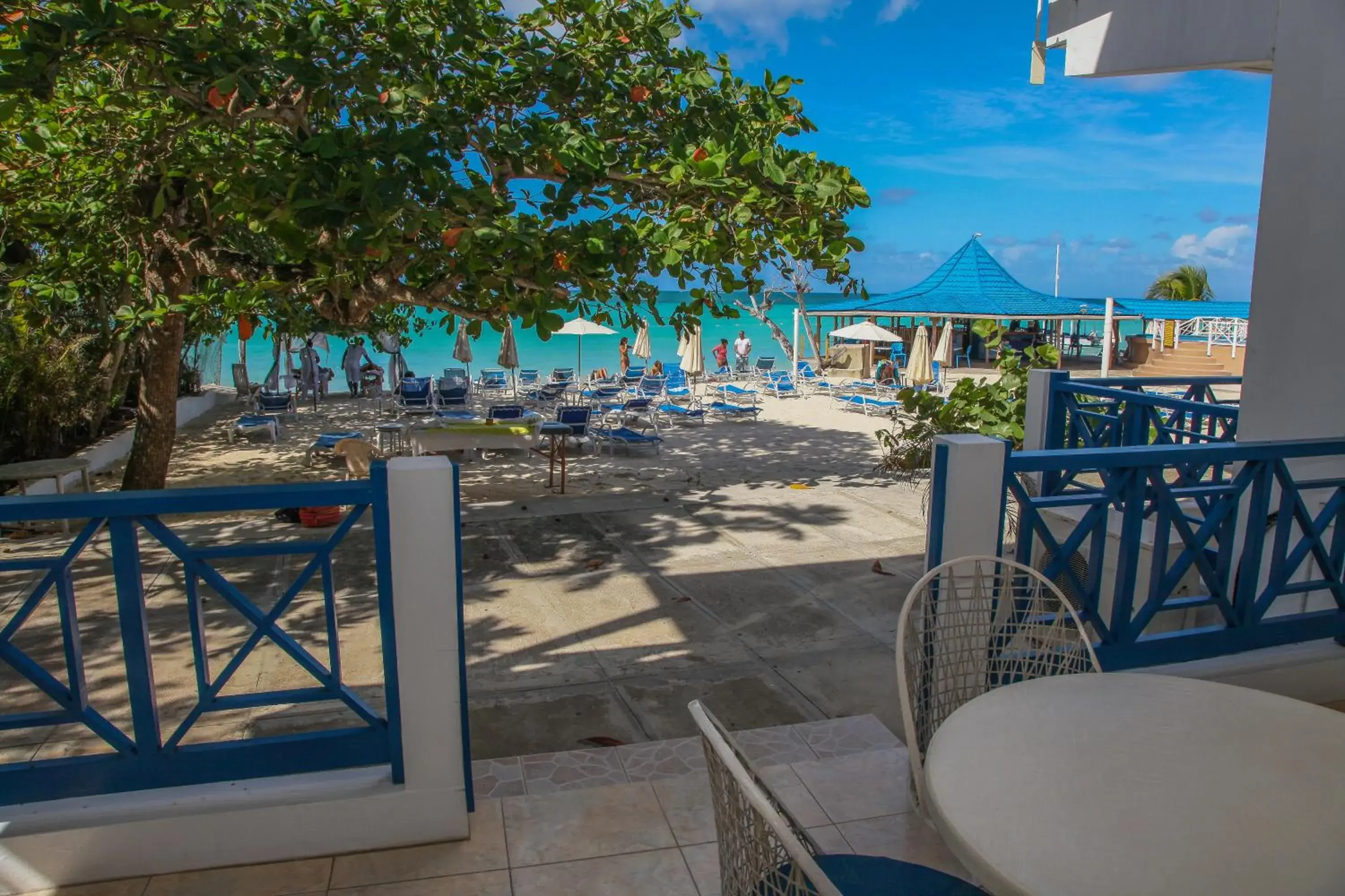 Restaurant/places to eat in Negril Treehouse Resort Restaurant/places to eat in Negril Treehouse Resort