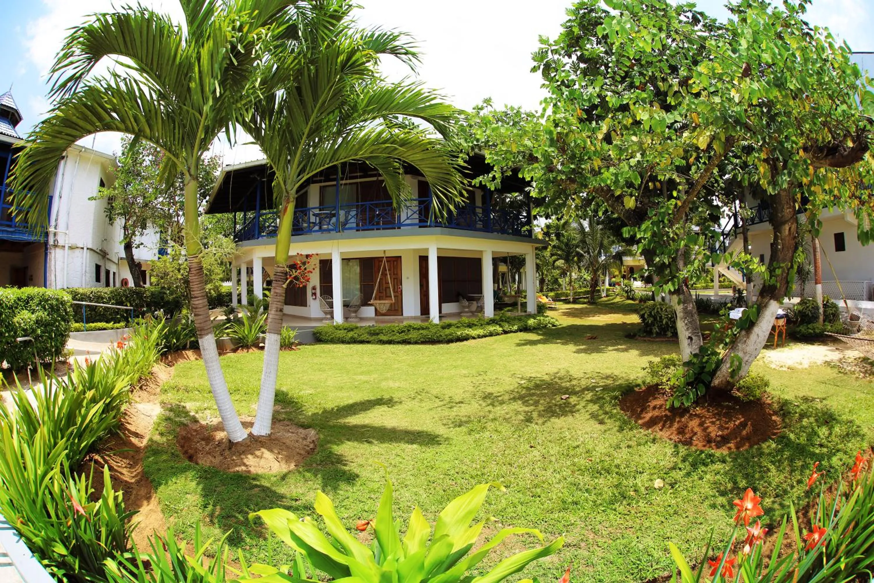 Facade/entrance in Negril Treehouse Resort
