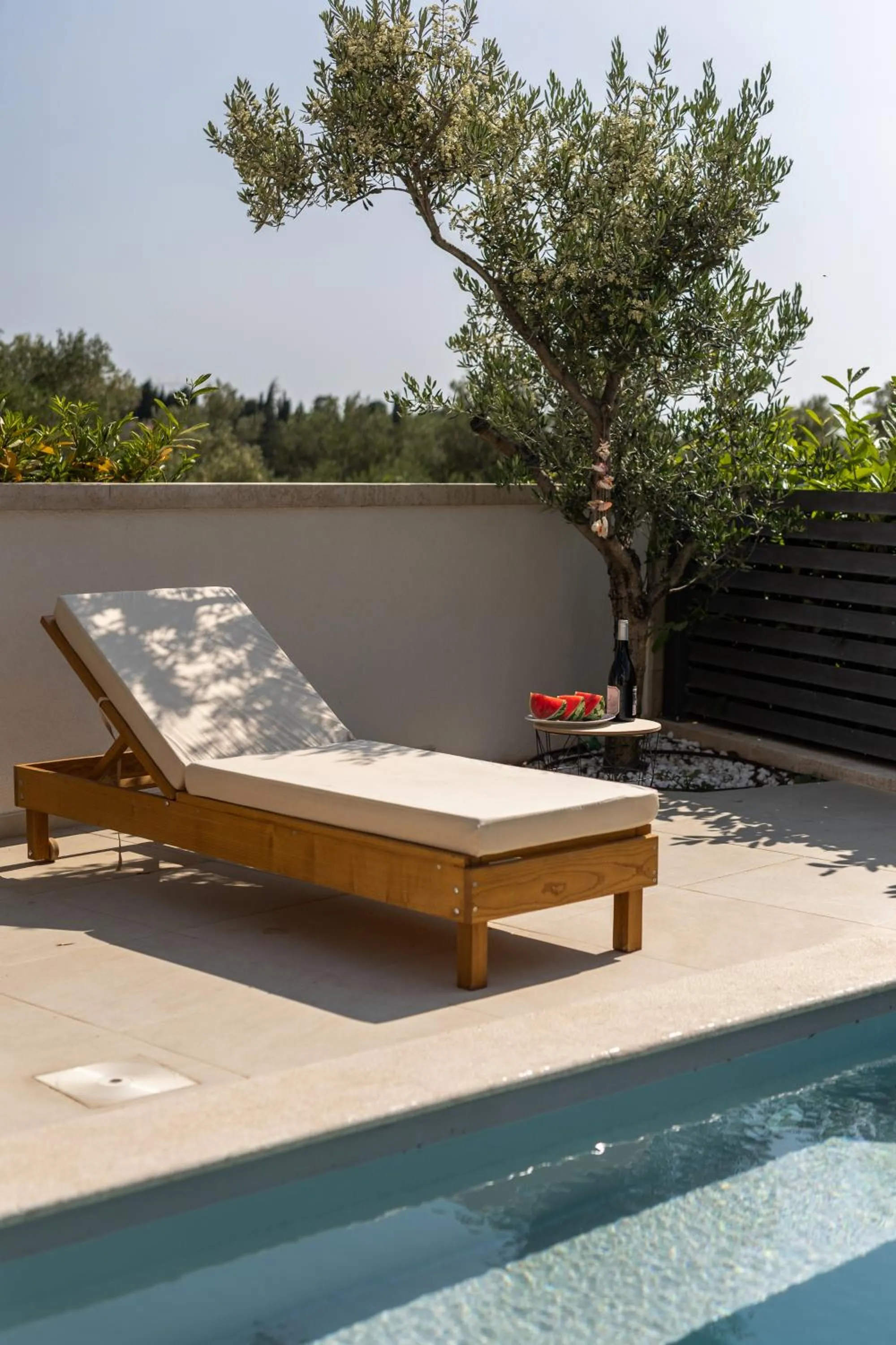Luxury apartment Marco Polo with a private swimming pool with salt sea water