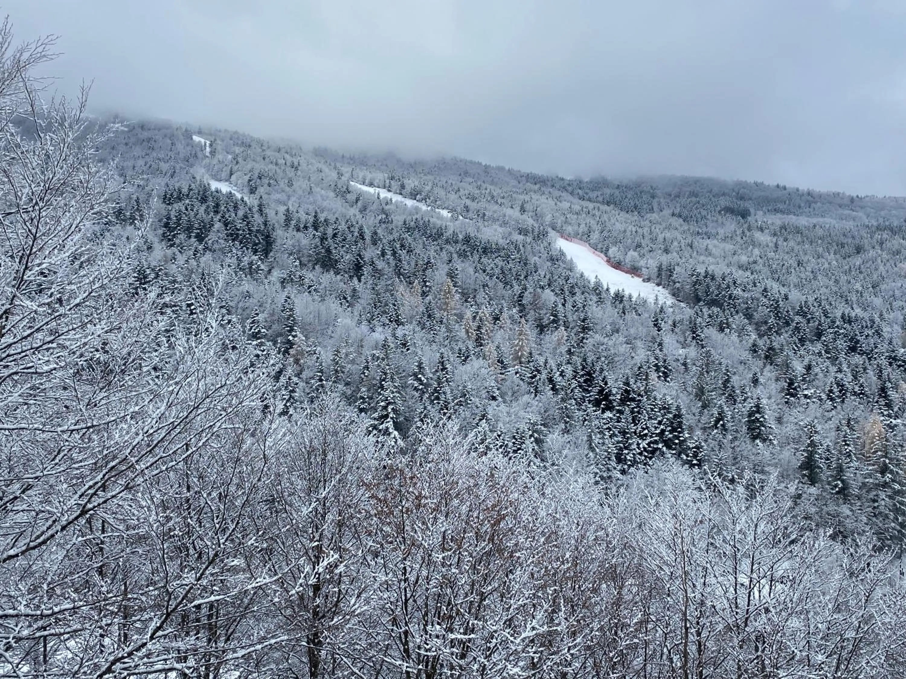 Residenza Riva Wellness Apartment Spa