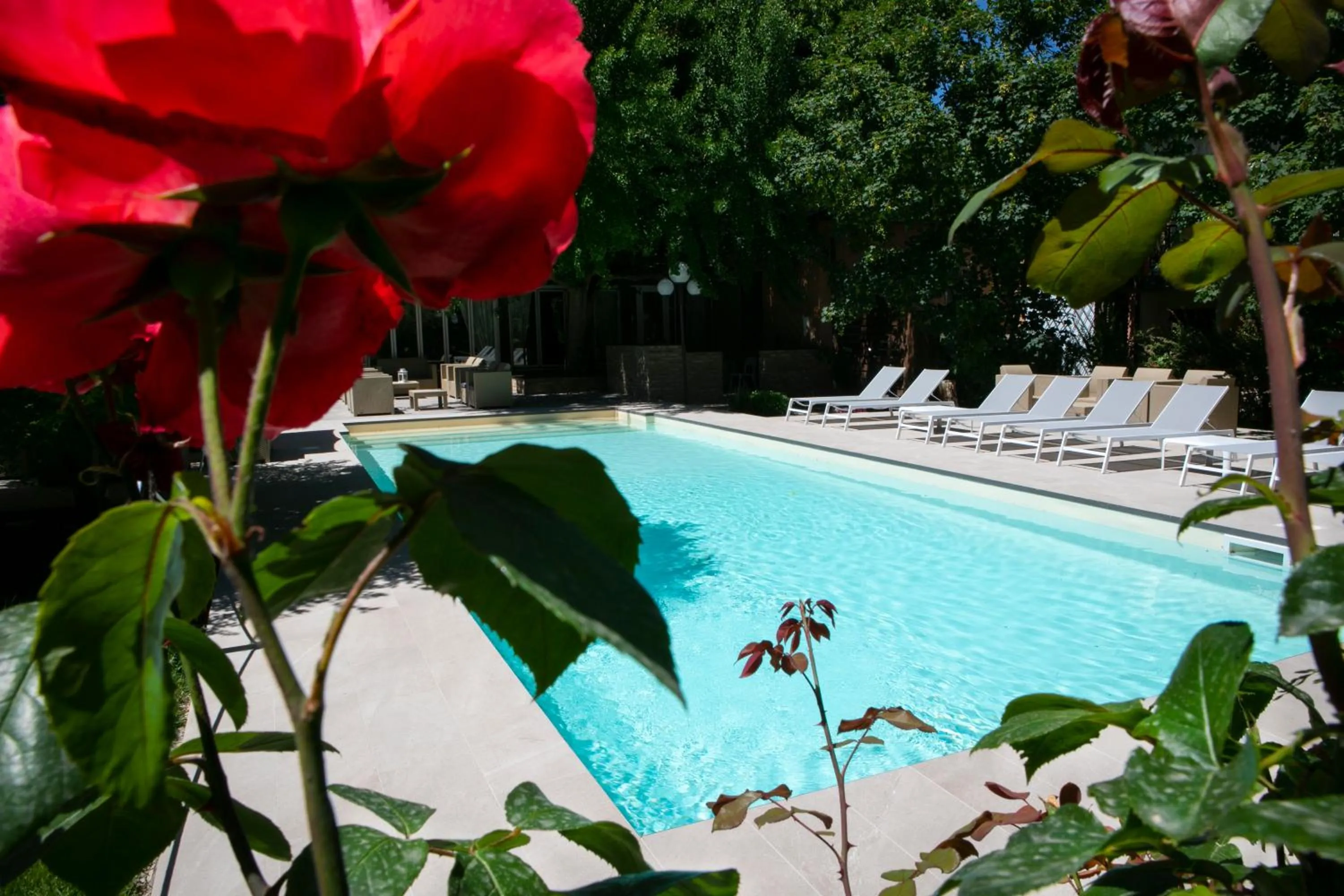 Swimming pool in Hotel Milano Pool & Garden
