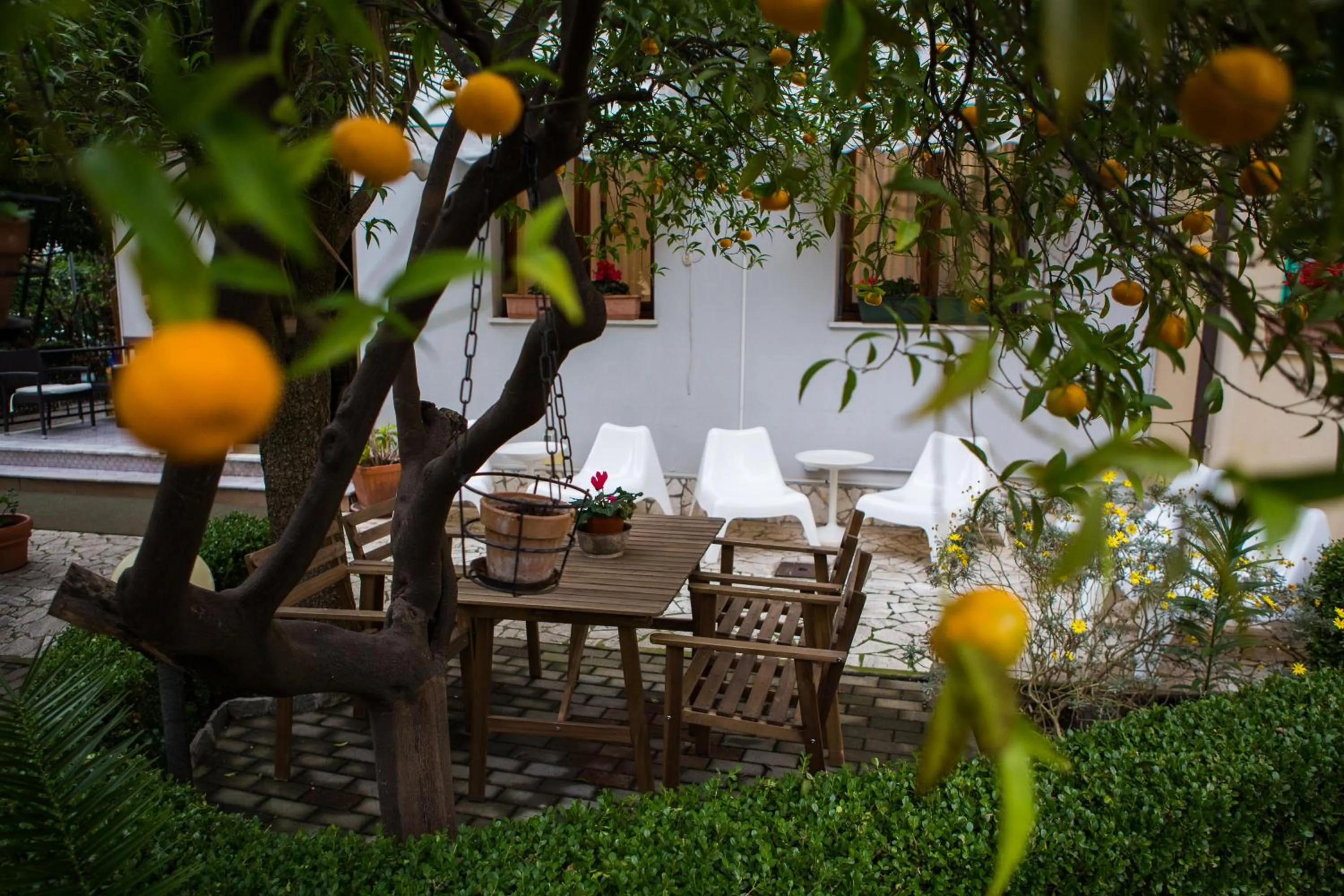 Natural landscape in Hotel Villa Gloria