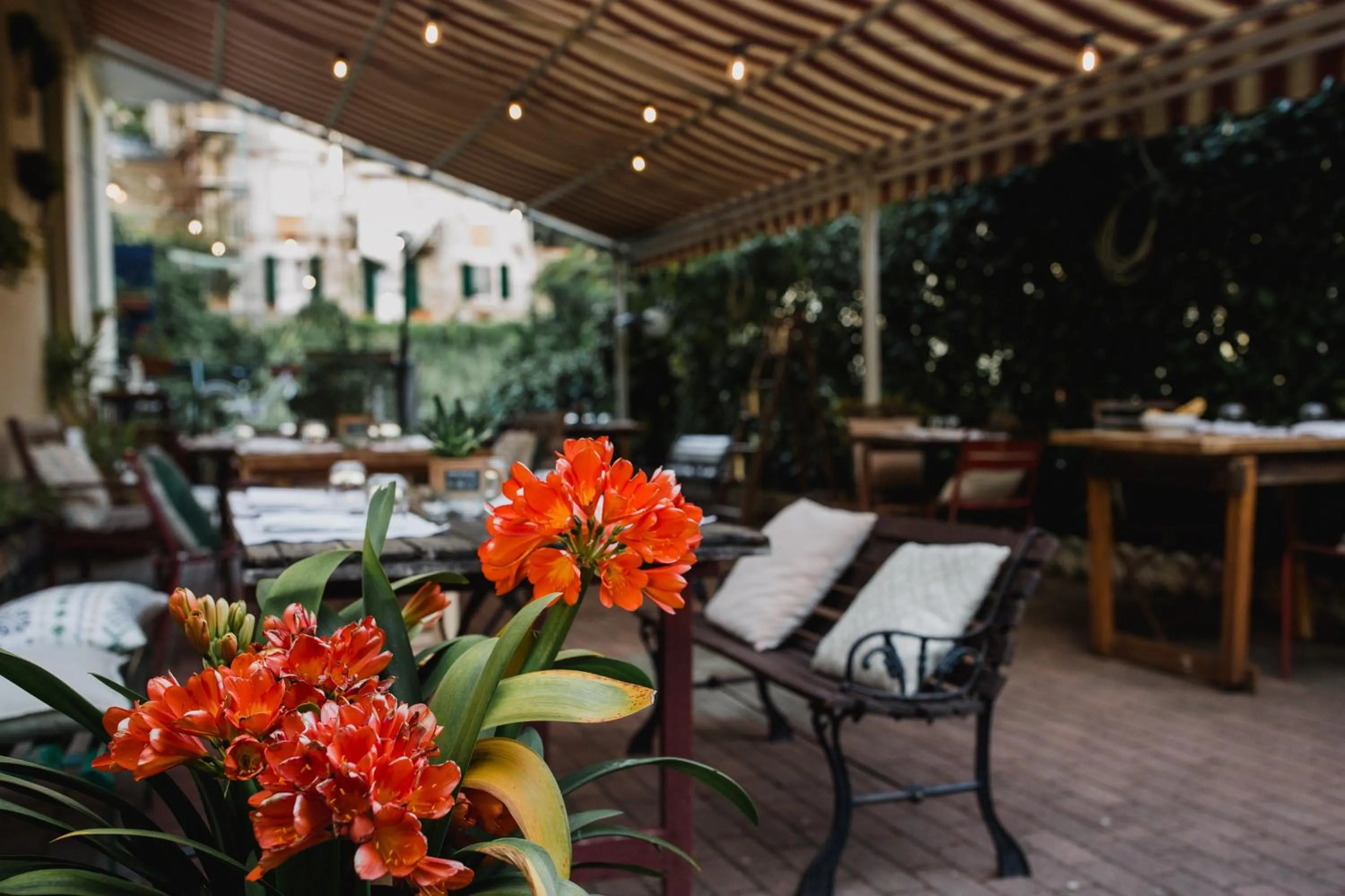 Food and drinks in Hotel Villa Gloria