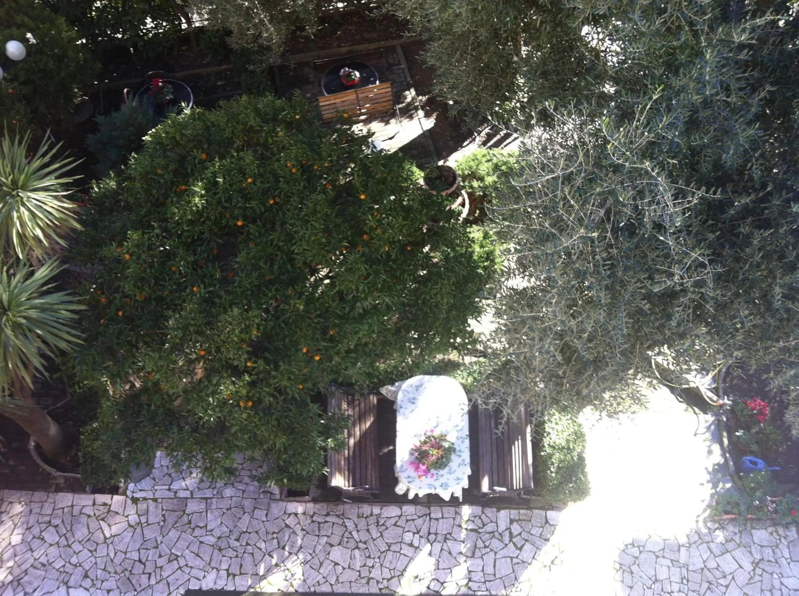 Garden in Hotel Villa Gloria