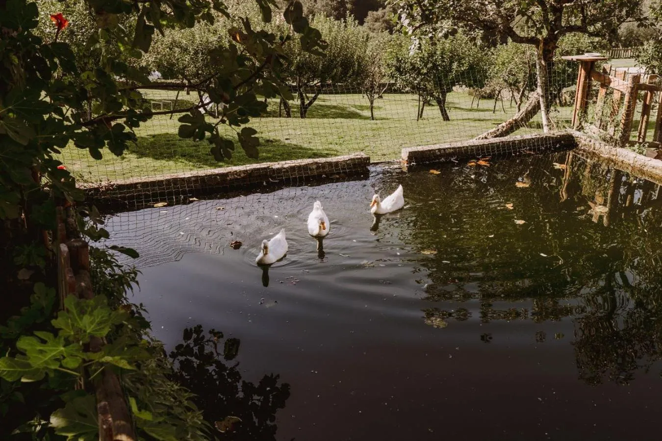 Off site in Pazo de Bendoiro
