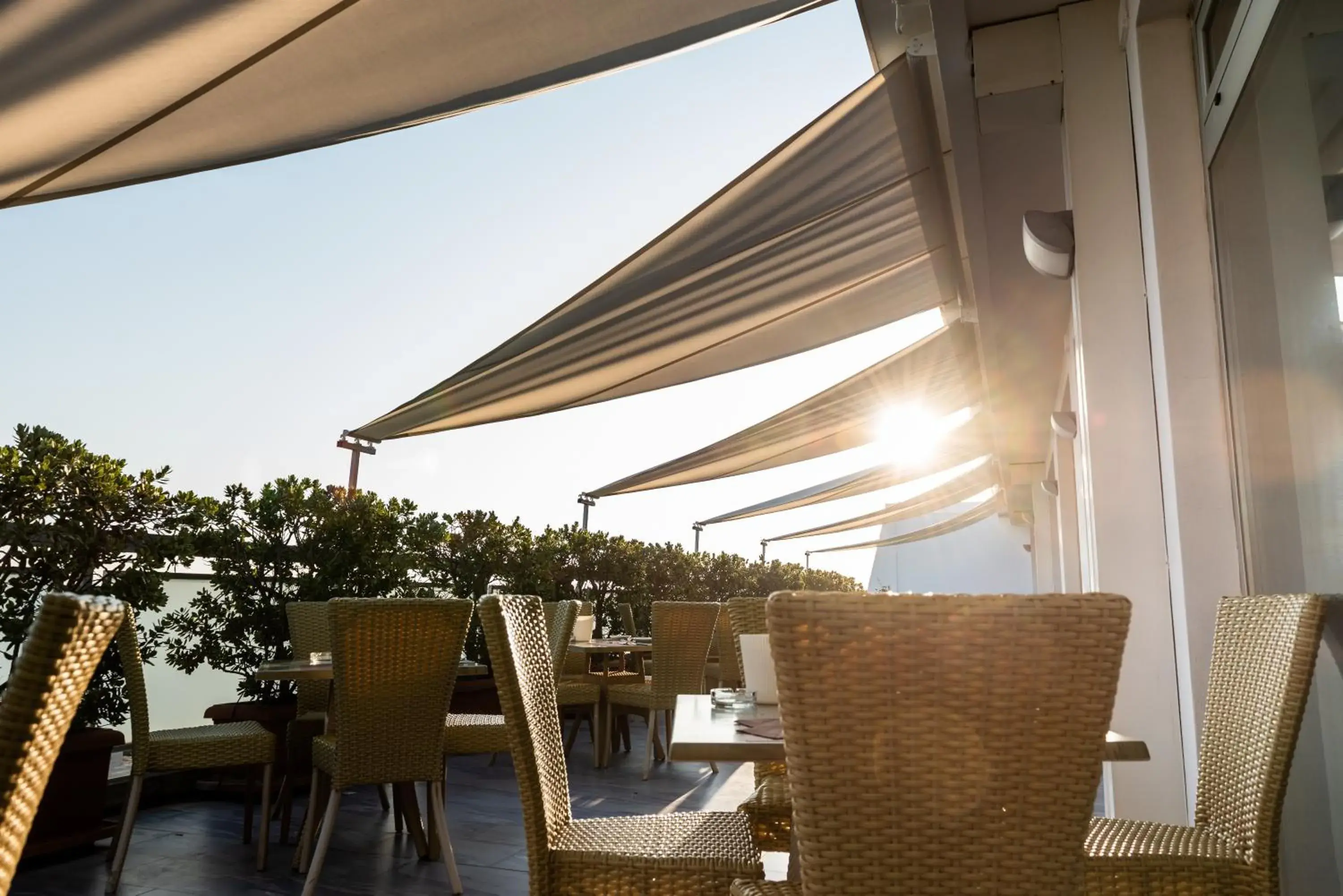 Restaurant/places to eat in Barion Hotel & Congressi Restaurant/places to eat in Barion Hotel & Congressi