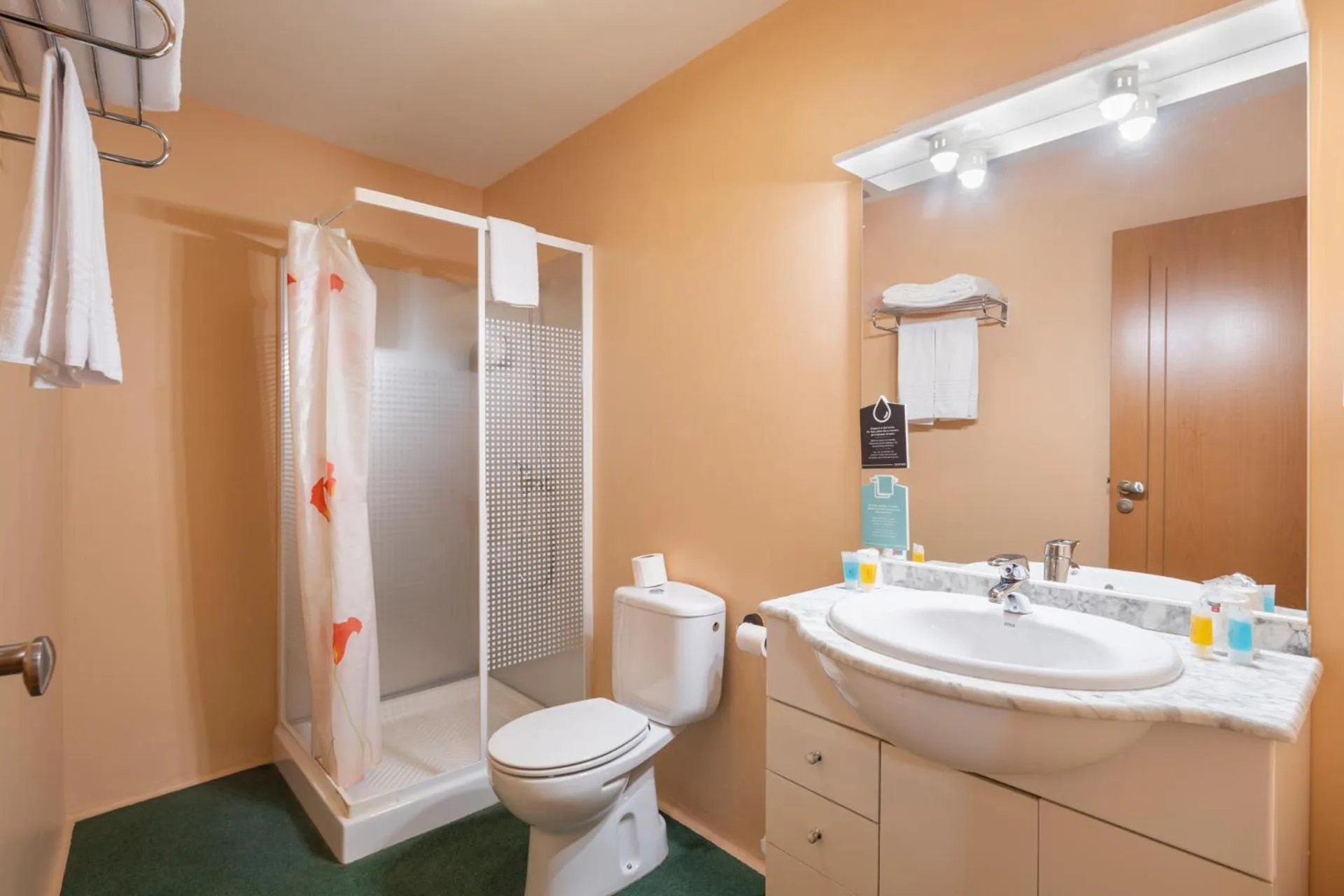 Shower in Hotel Villanueva