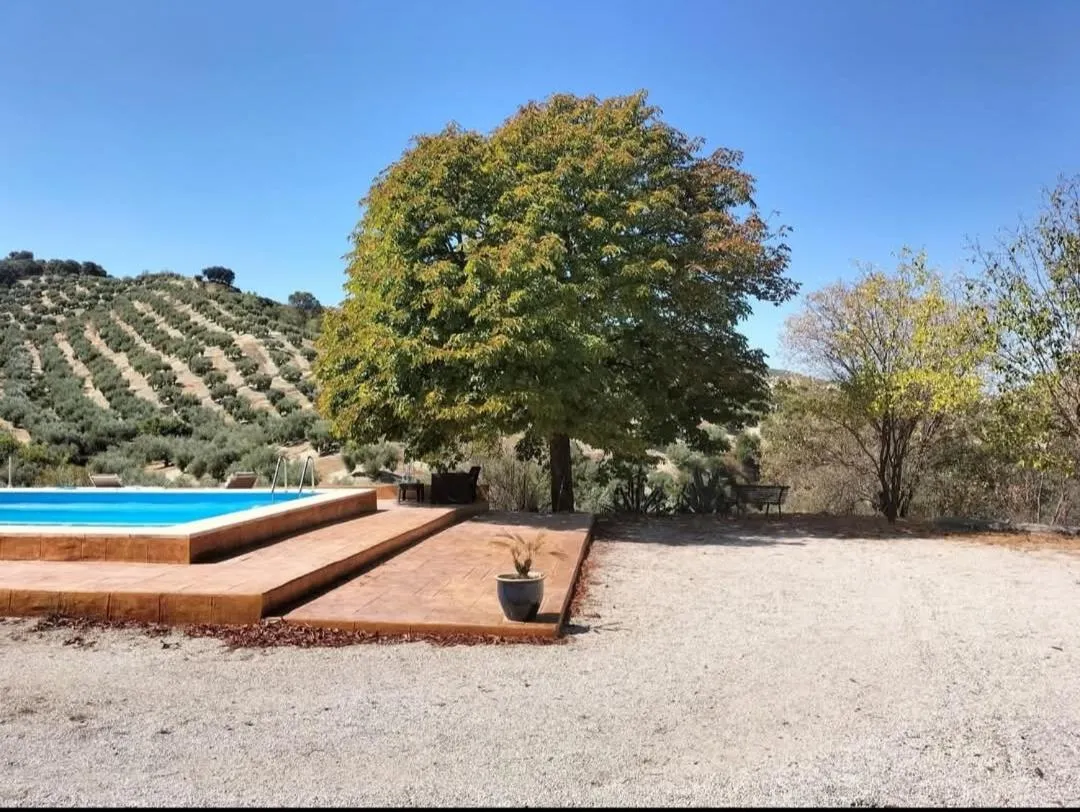 Swimming pool in Casa el Castano