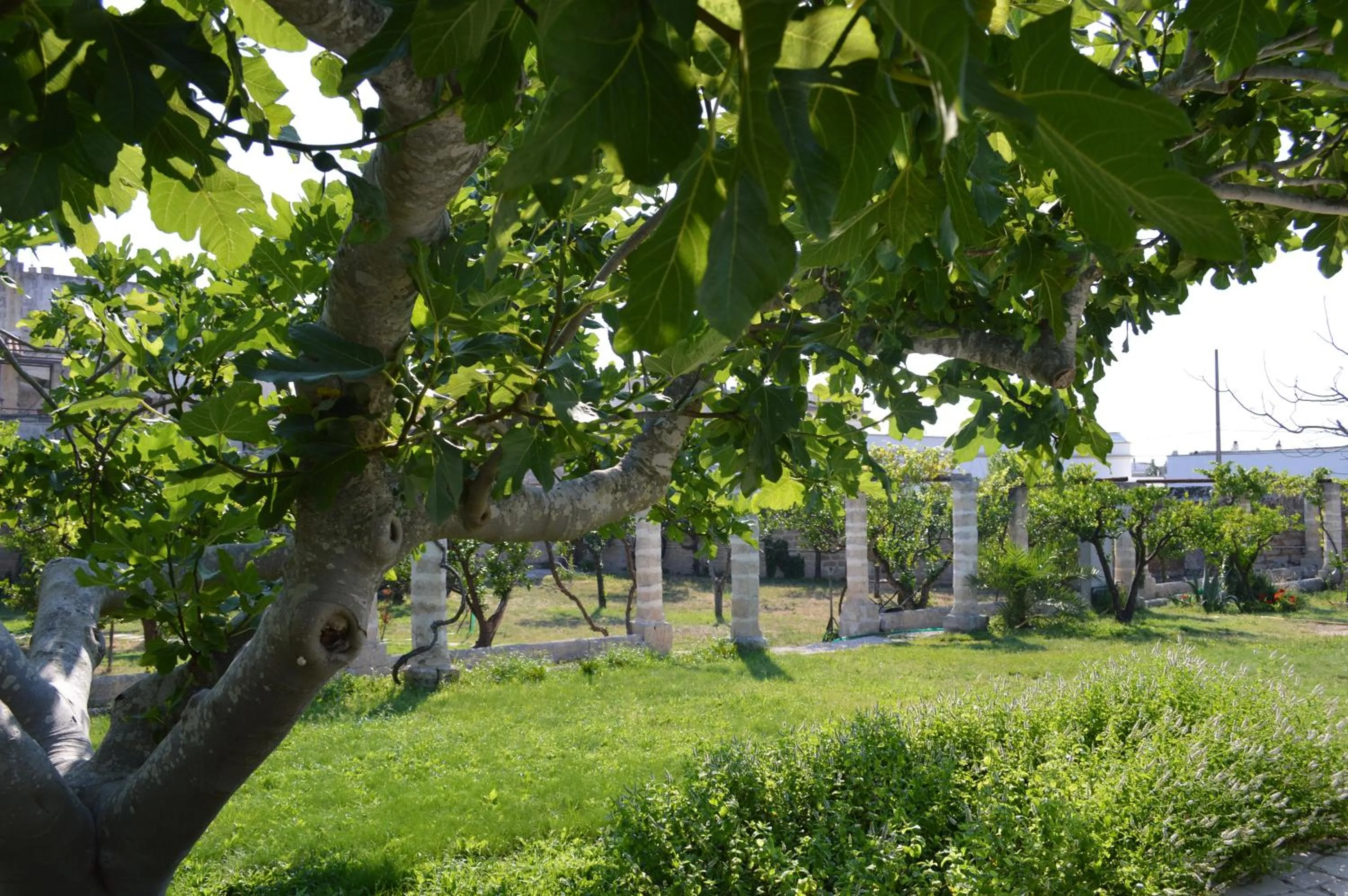 Garden view in Palazzo Vecchio