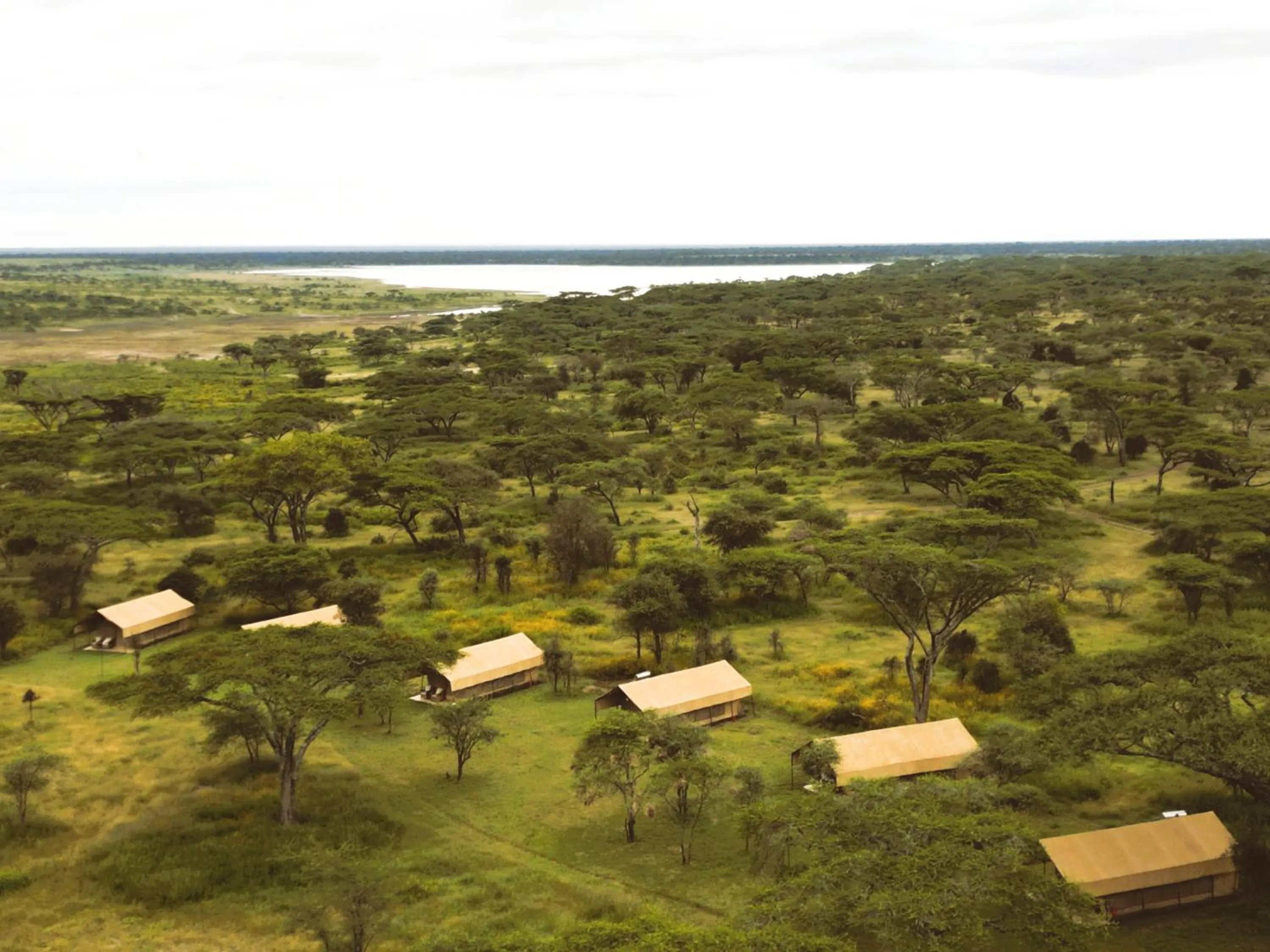 Natural landscape in Africa Safari South Serengeti Ndutu Ngorongoro