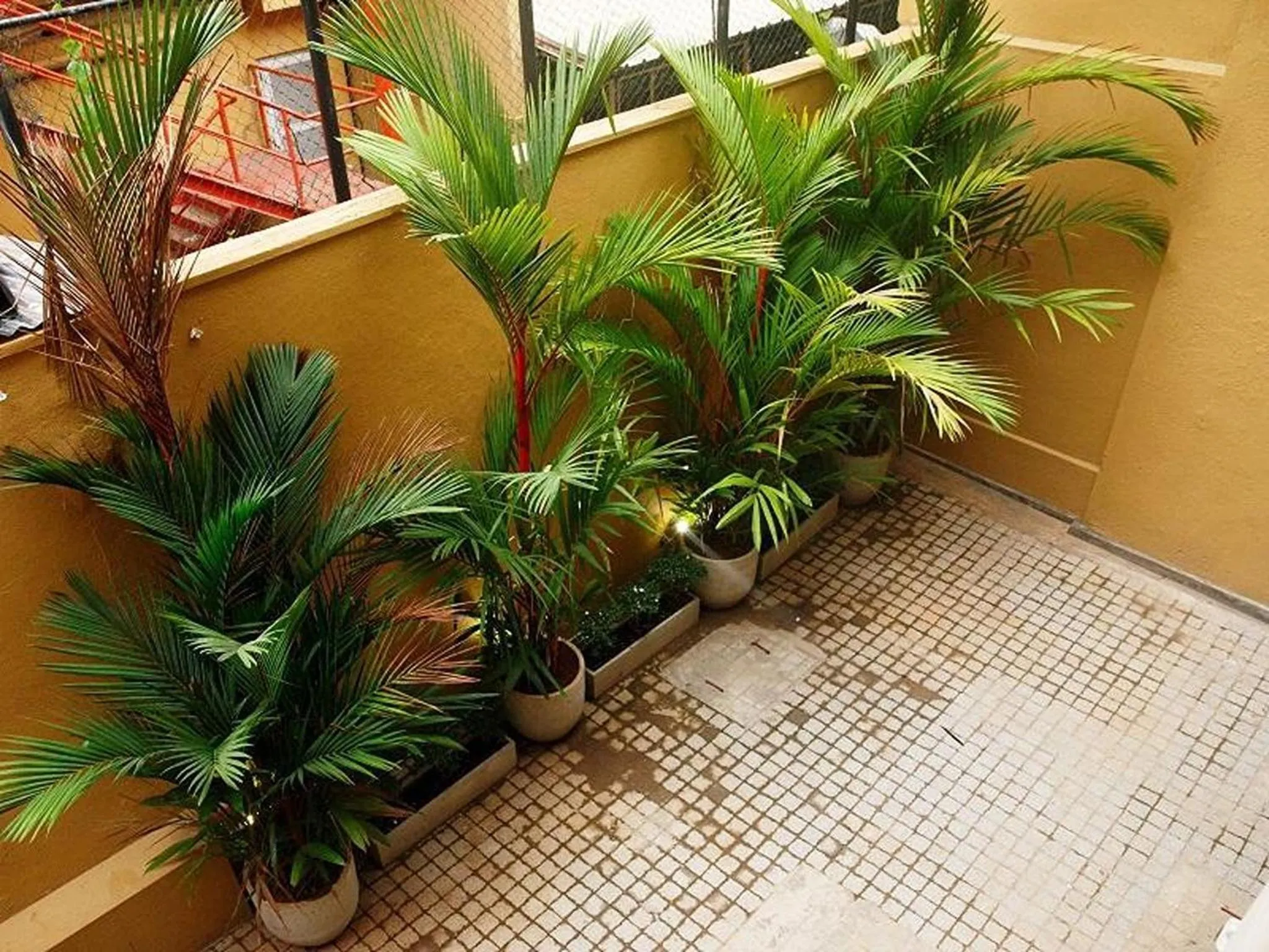 Garden in CityRest Fort