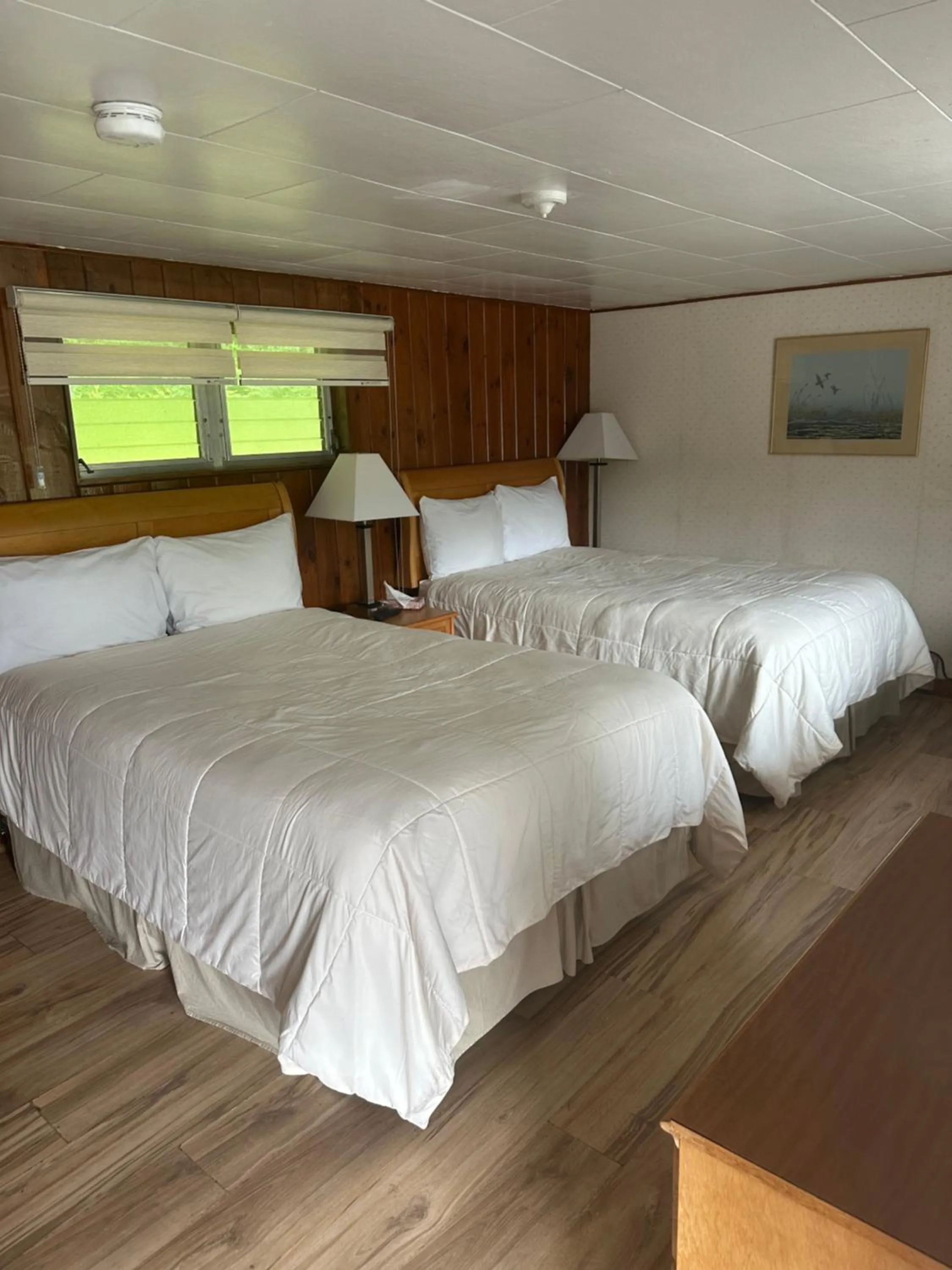 Photo of the whole room, Bed in Starlight Inn