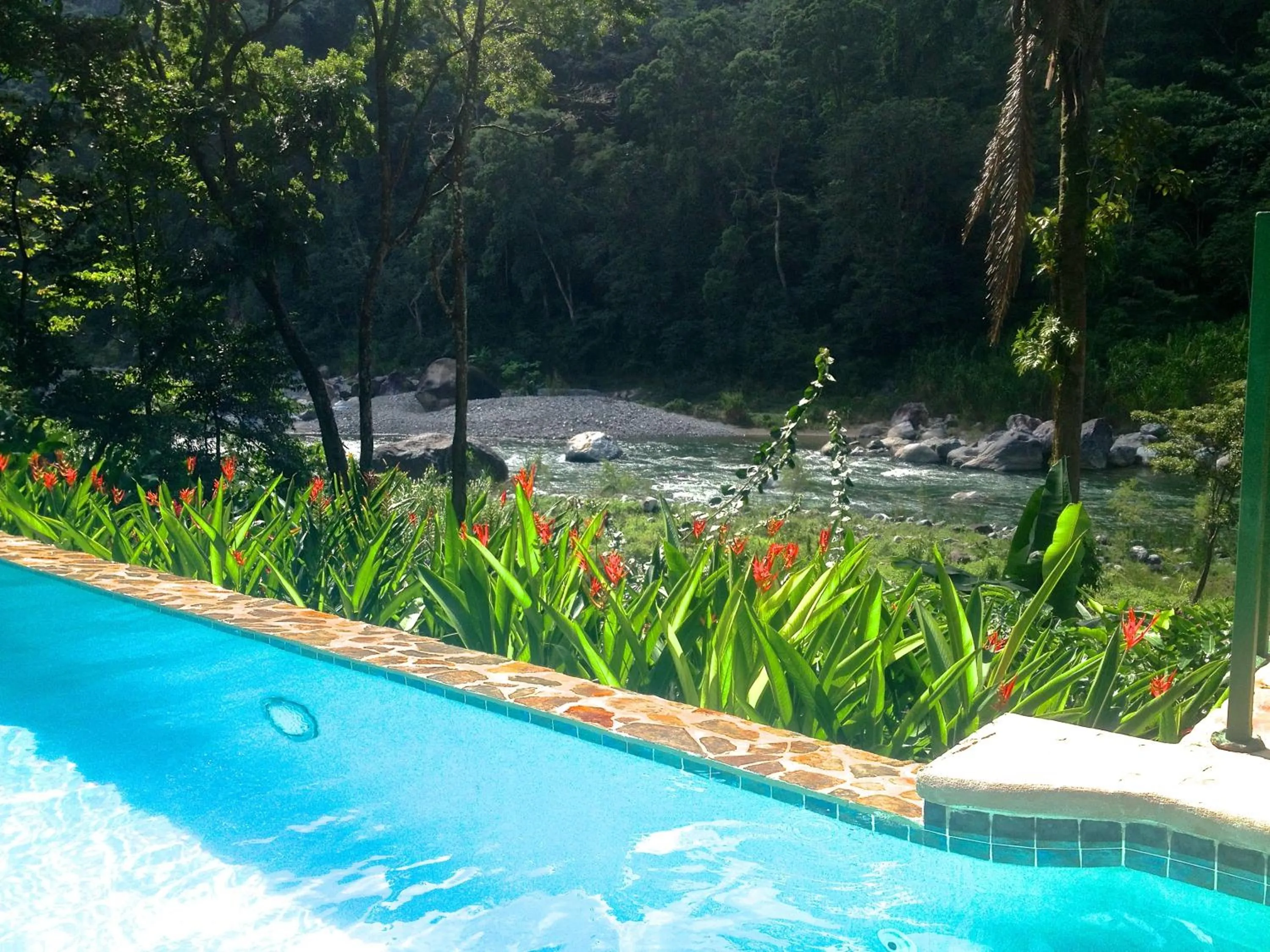 Pool view in Villas Pico Bonito
